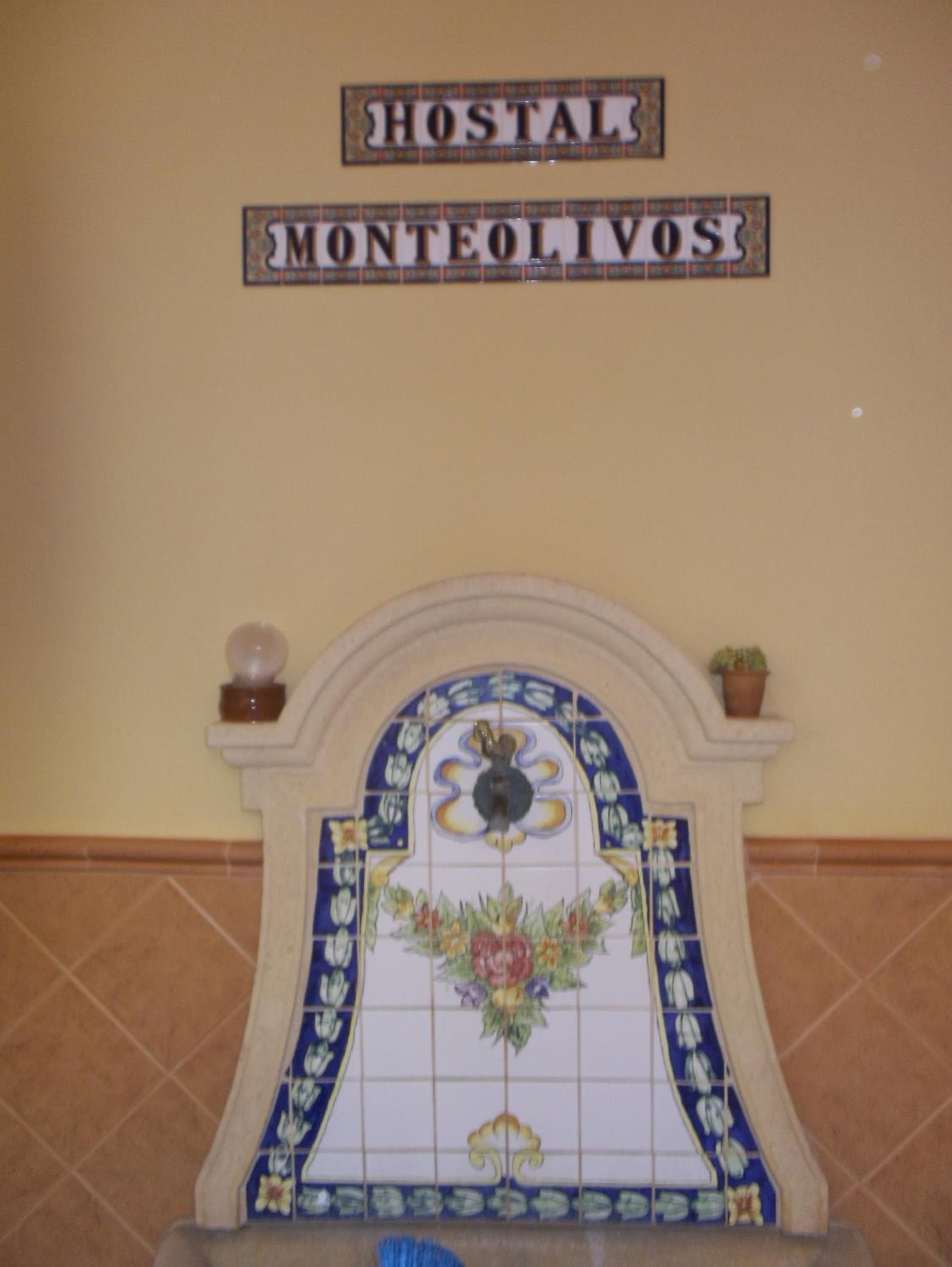 Hostal Monteolivos view 3