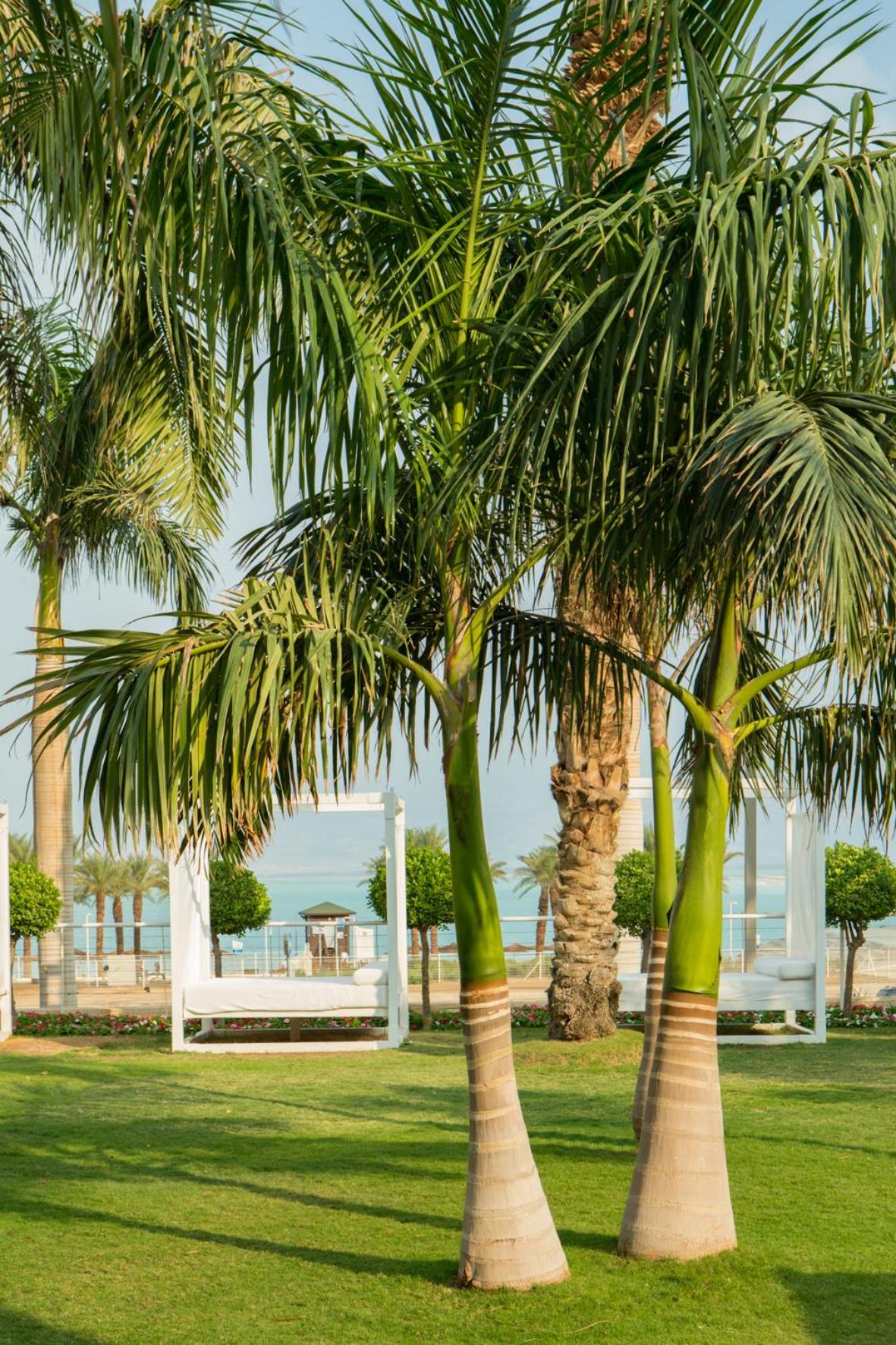 Ein Bokek Vacations - Nevo by Isrotel Collection - Property Image 5