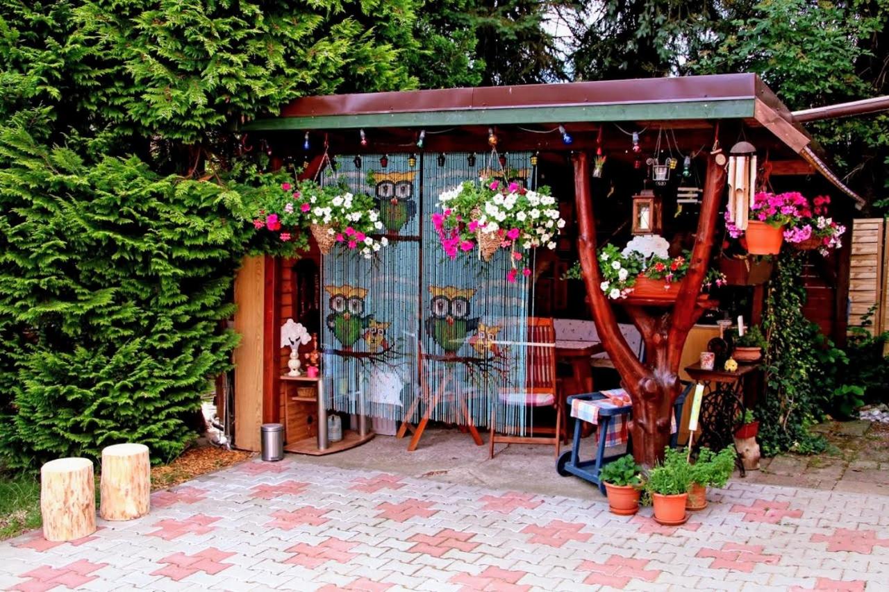Photo 13
