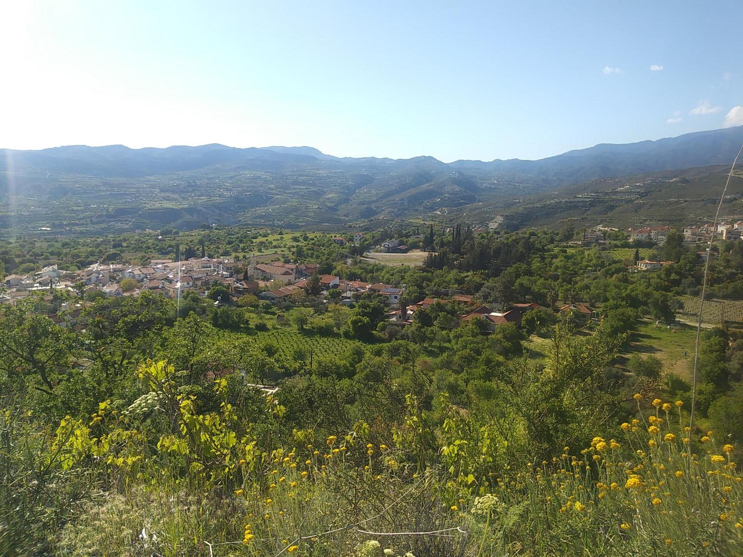 The Spidaki