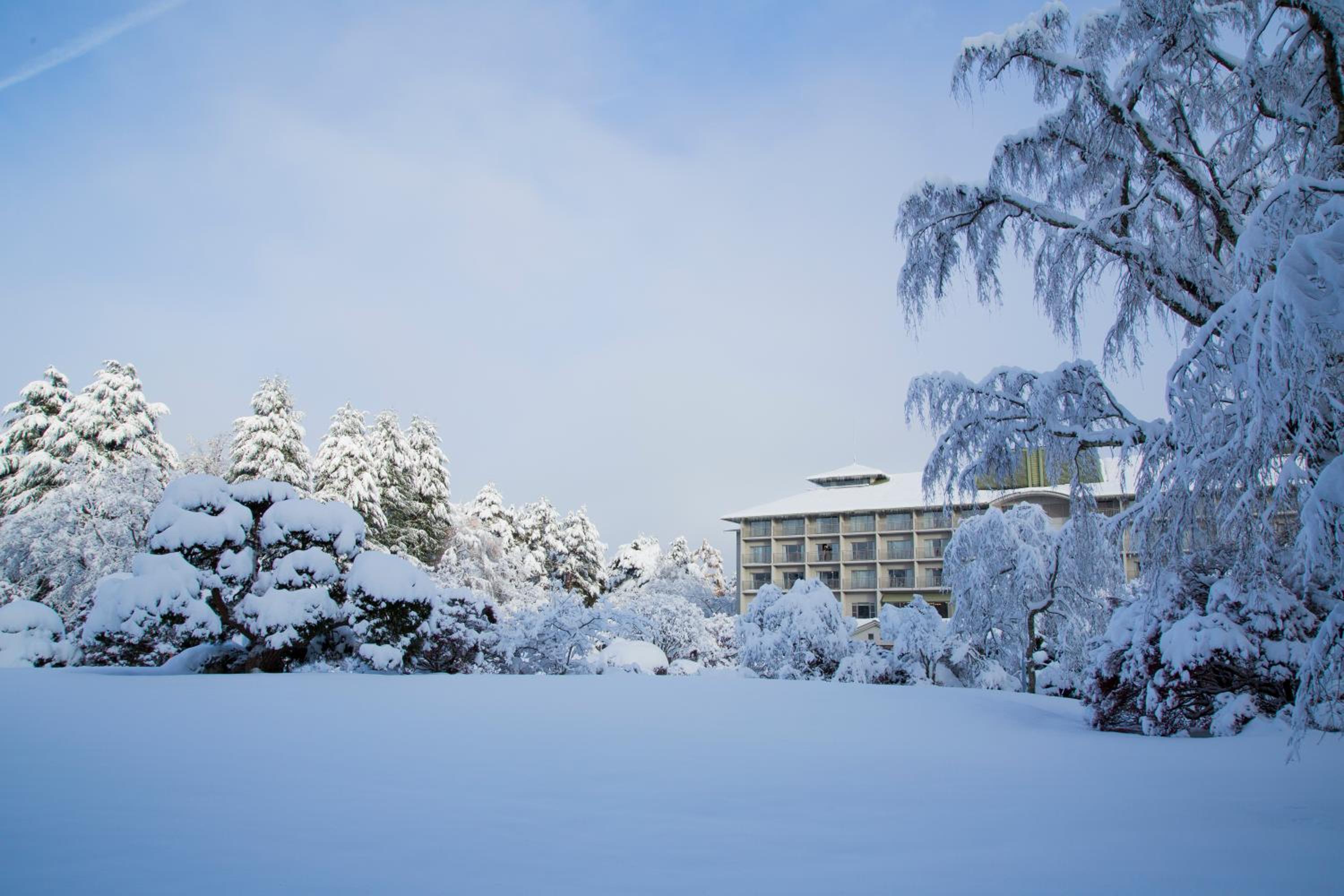 Fuji View Hotel