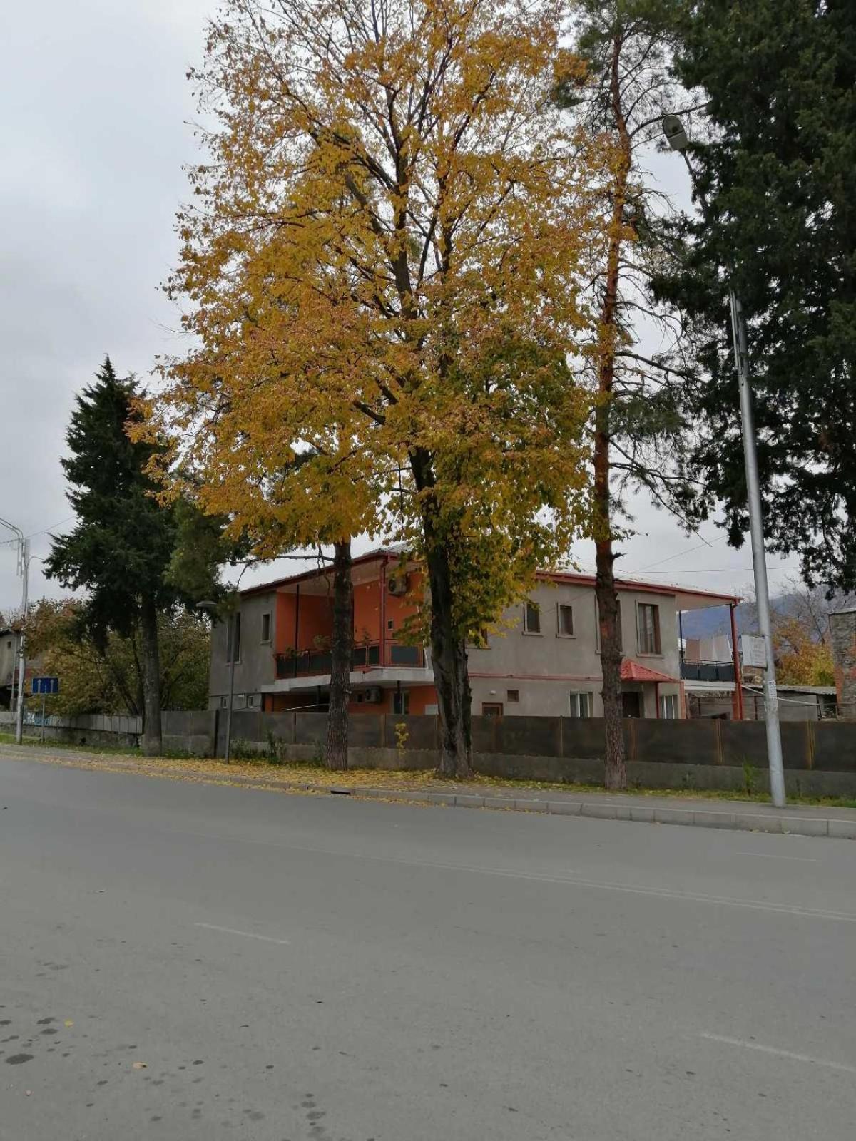 Photo 57