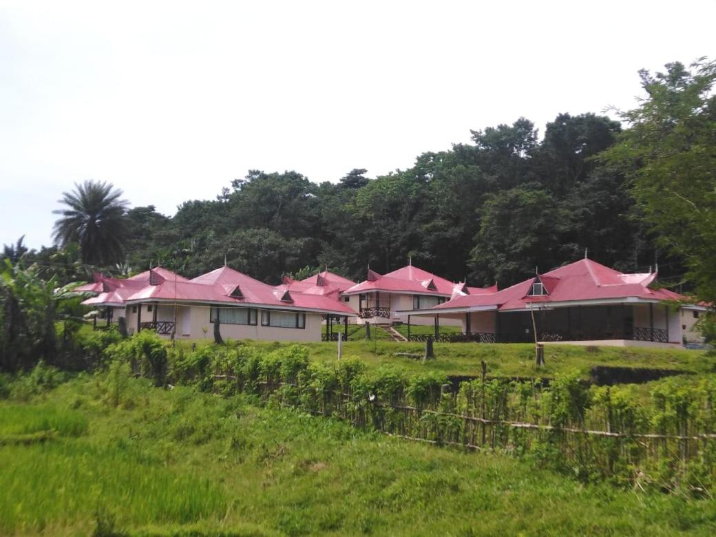 Dew Dale Resorts, Baratang Island view 4