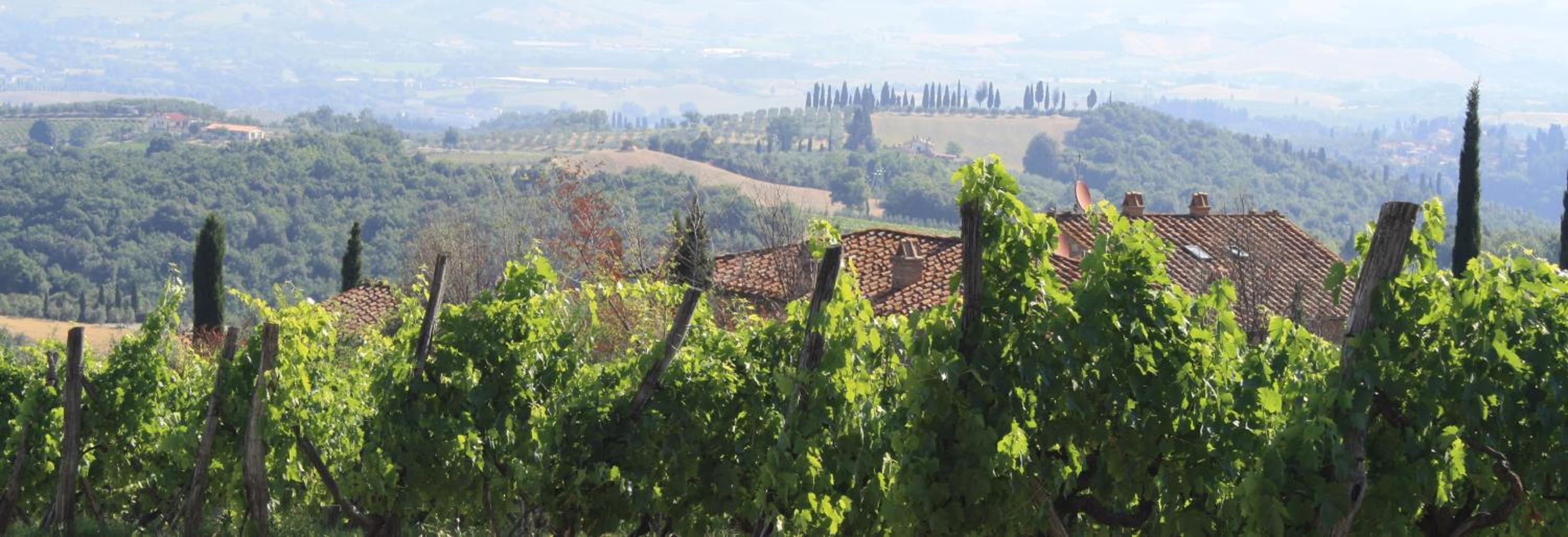 Agriturismo Rigone in Chianti