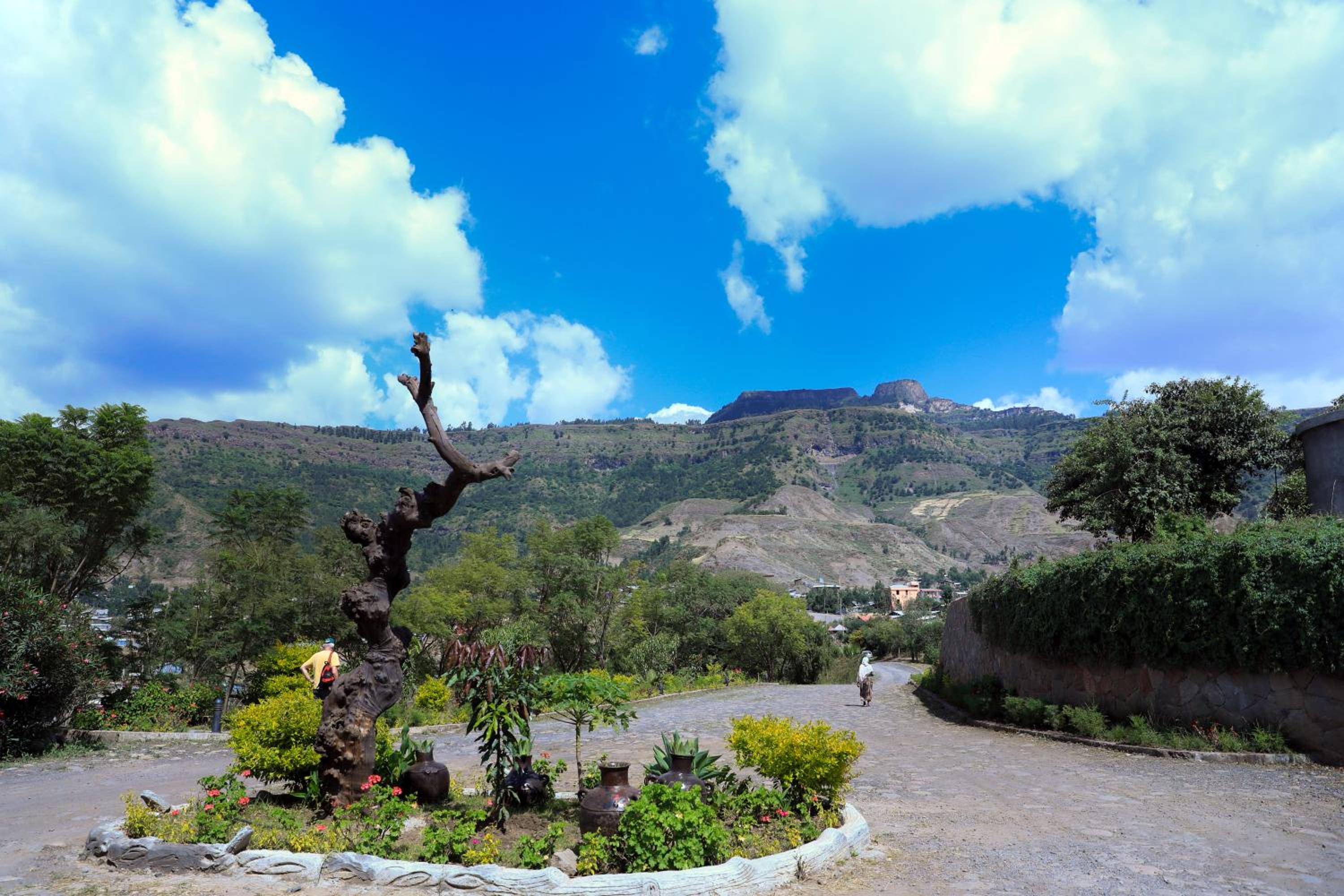 Mezena Resort & SPA