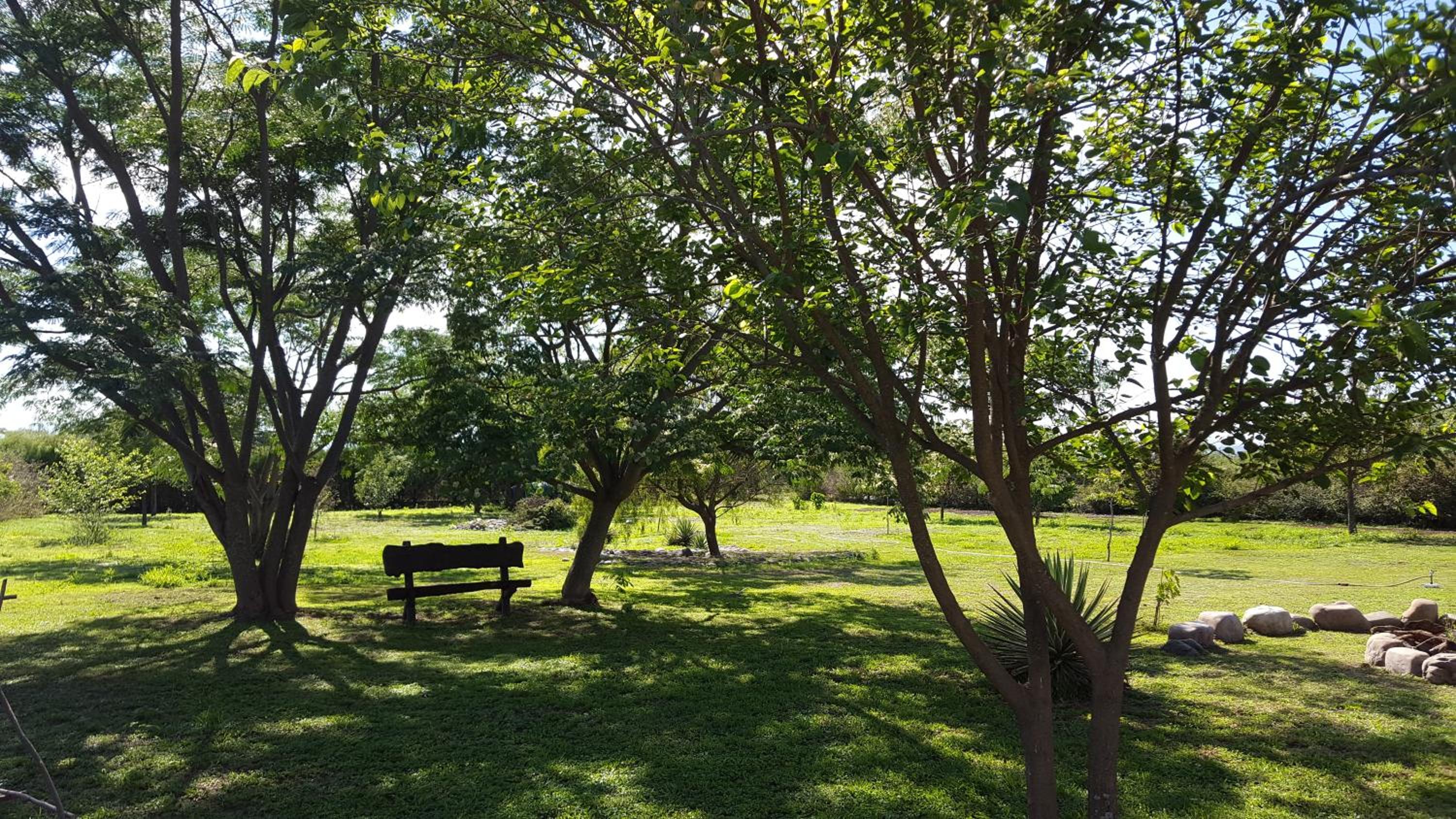 Chacana