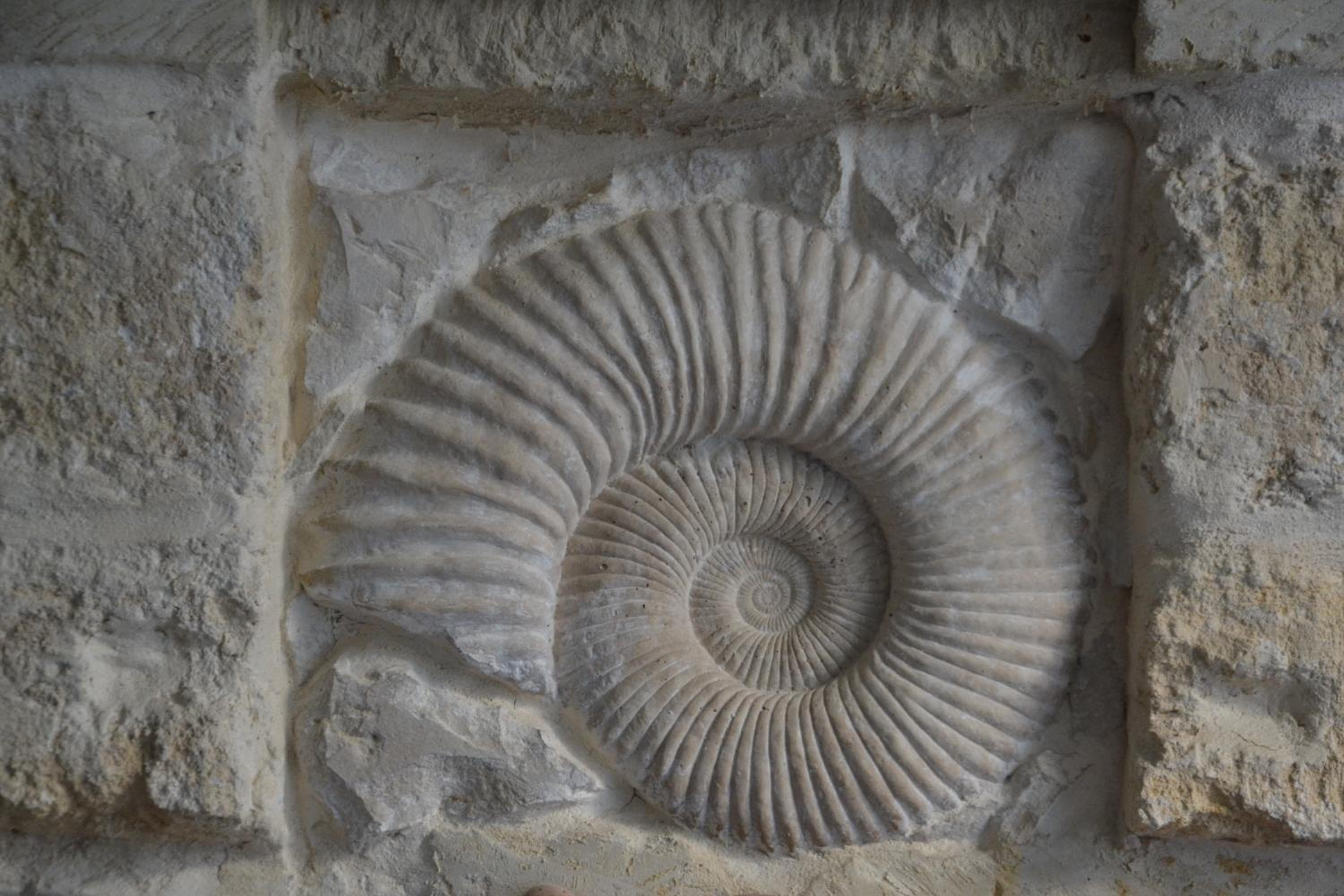 Palazzo Muro Leccese Relais de Charme & Wellness