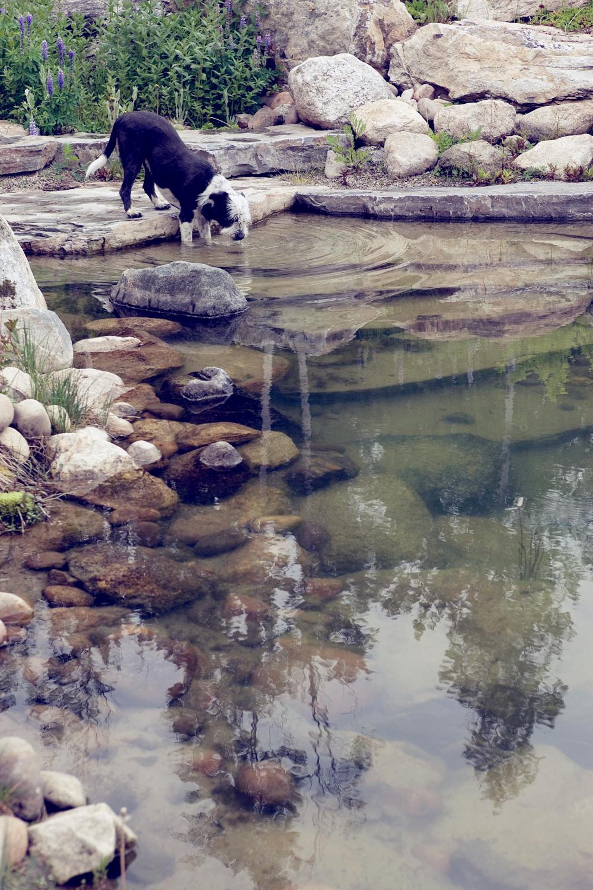 Sandpoint Vacations - Talus Rock Retreat - Property Image 27