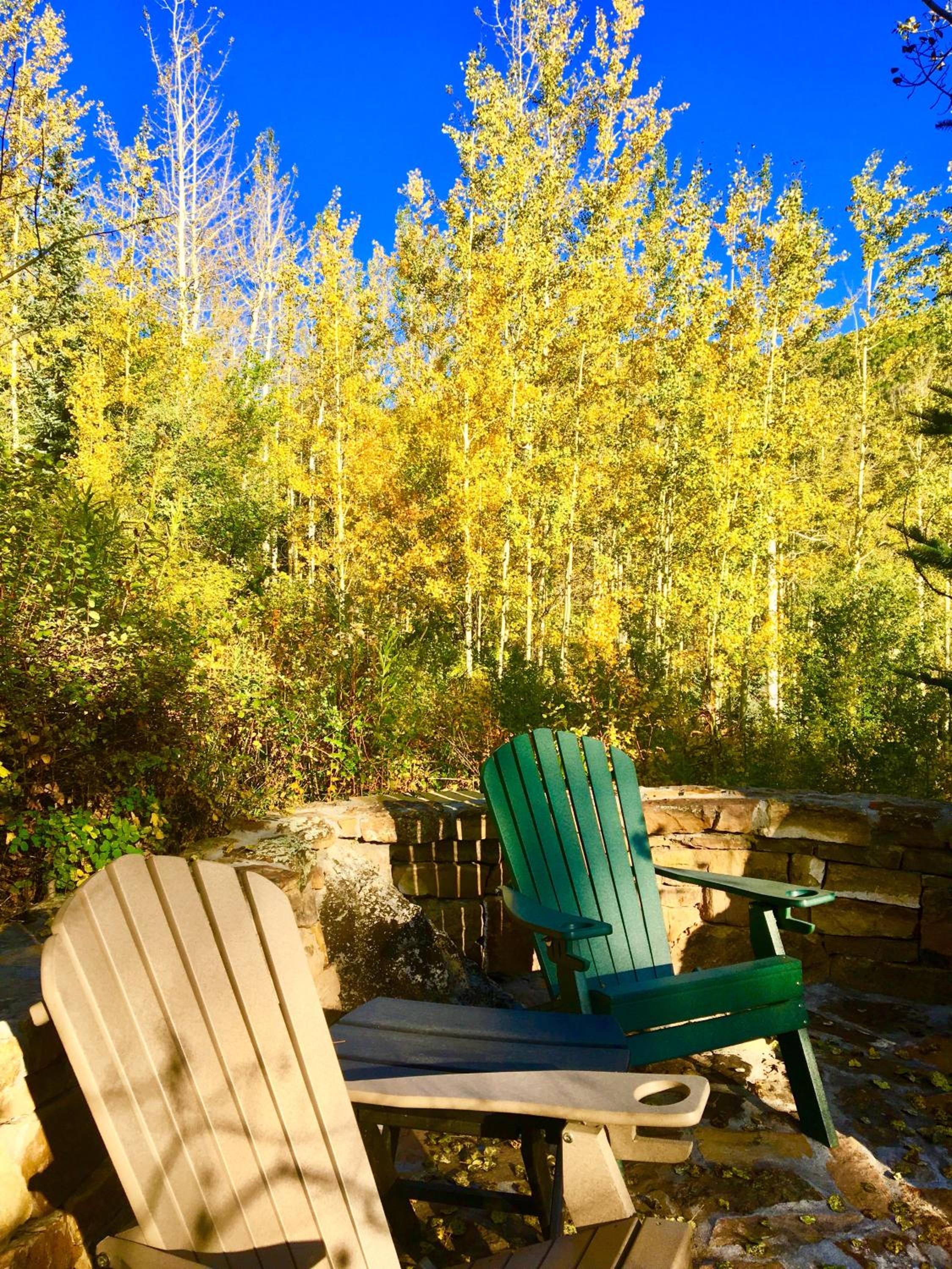 Amazing Highcliffe Lodge Vail