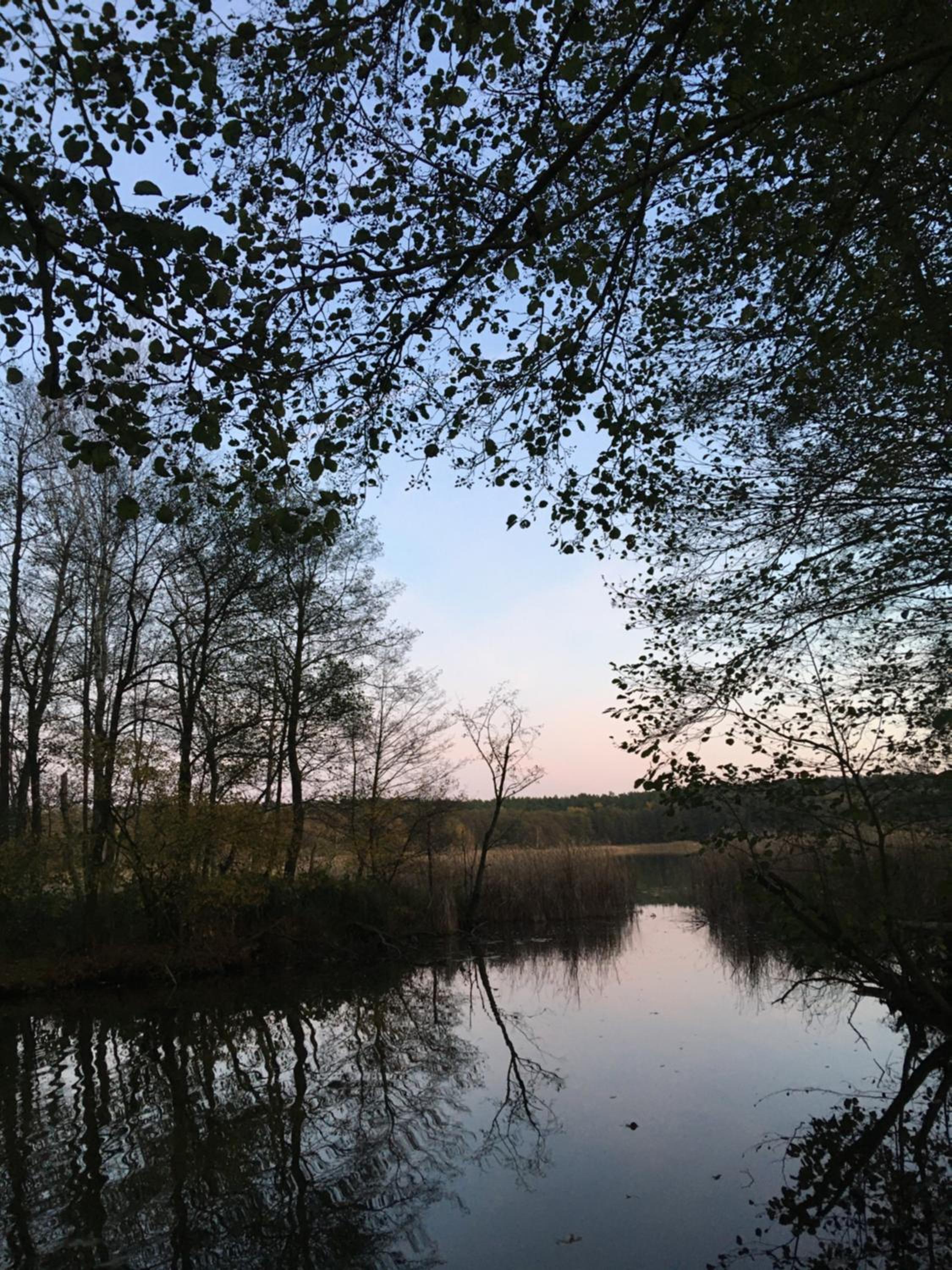 Gut Settin am See - Ferienhäuser