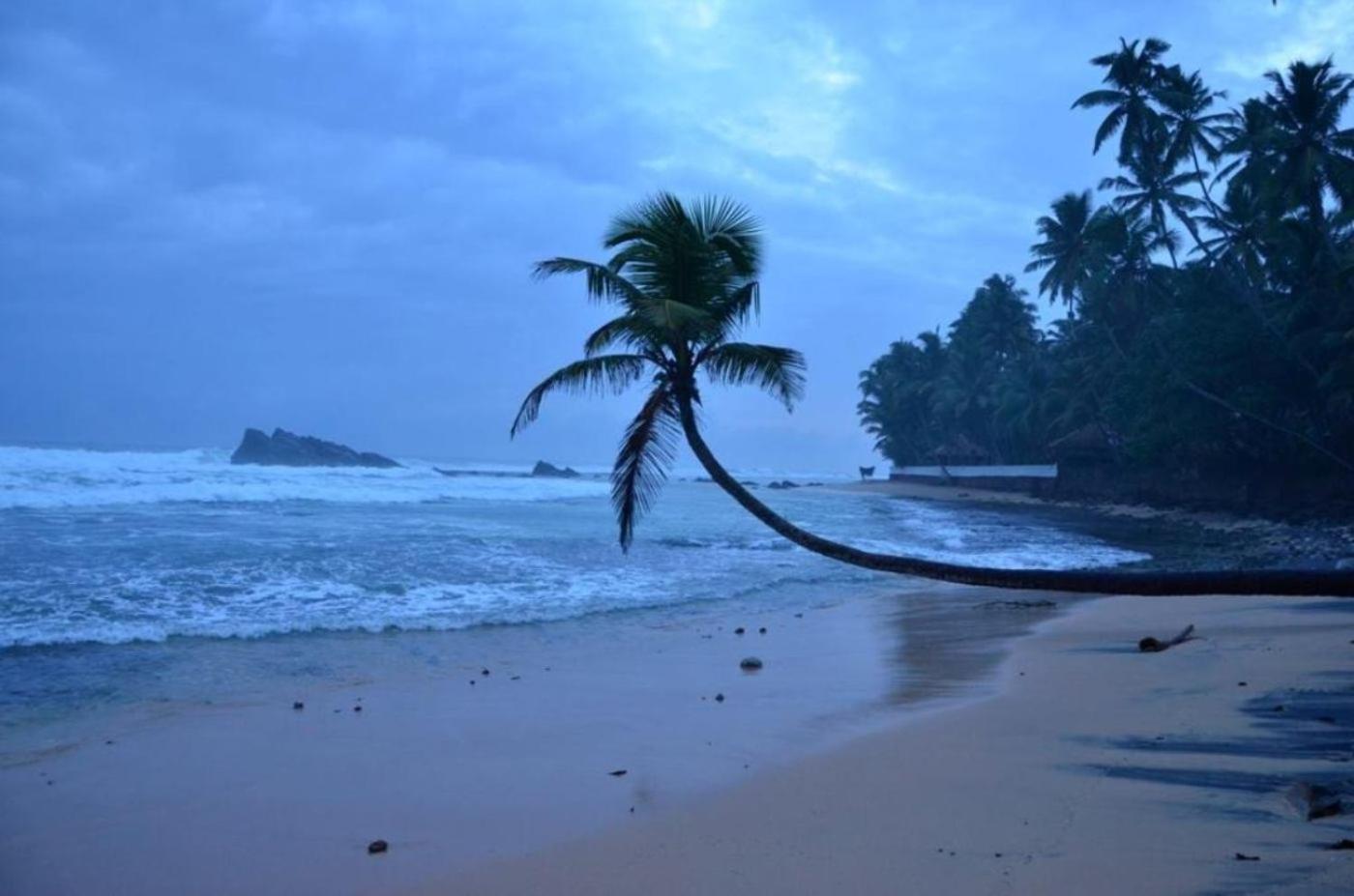 Greenery Lanka Villa view 4