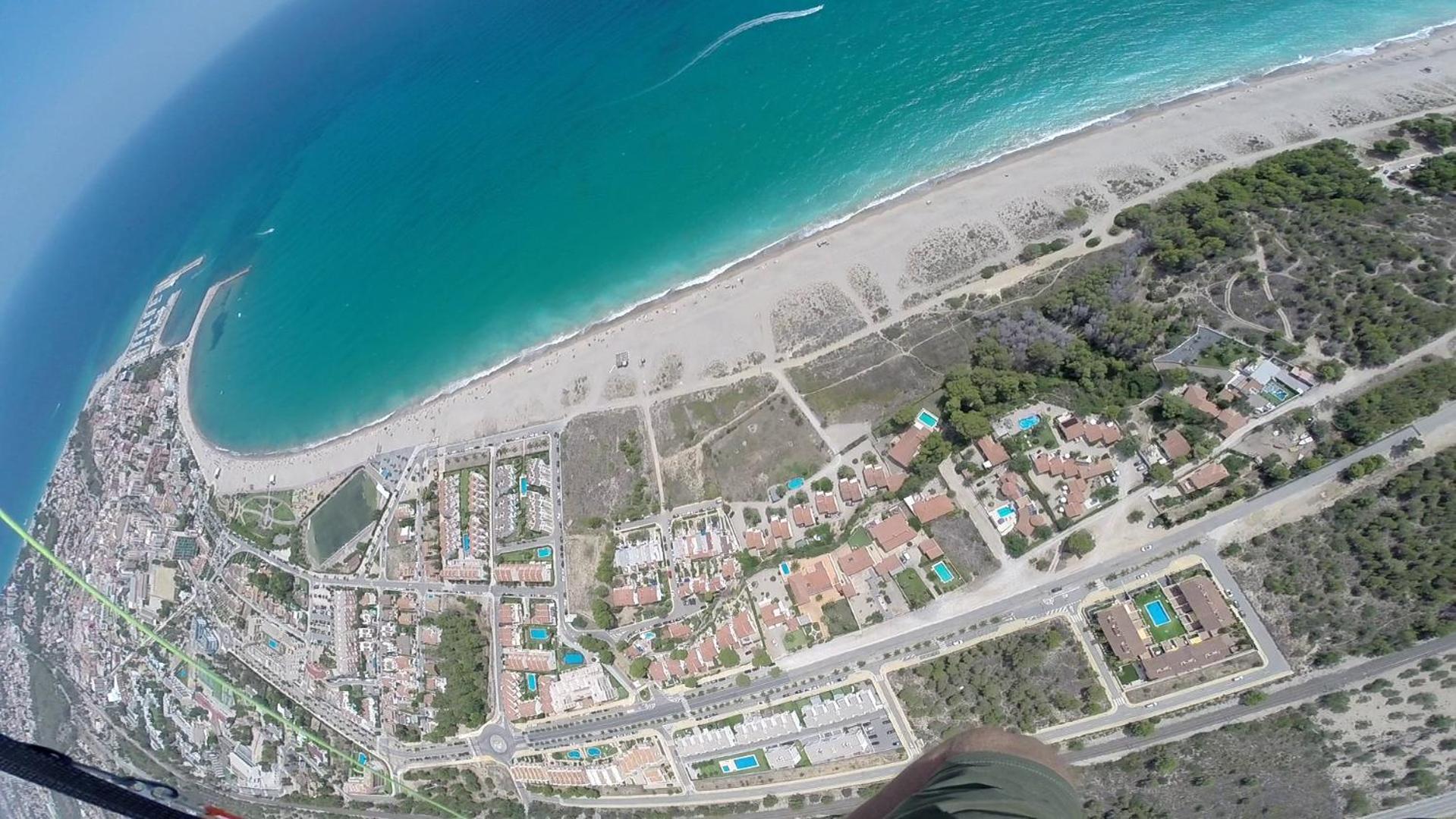 Aloha Miami view 4