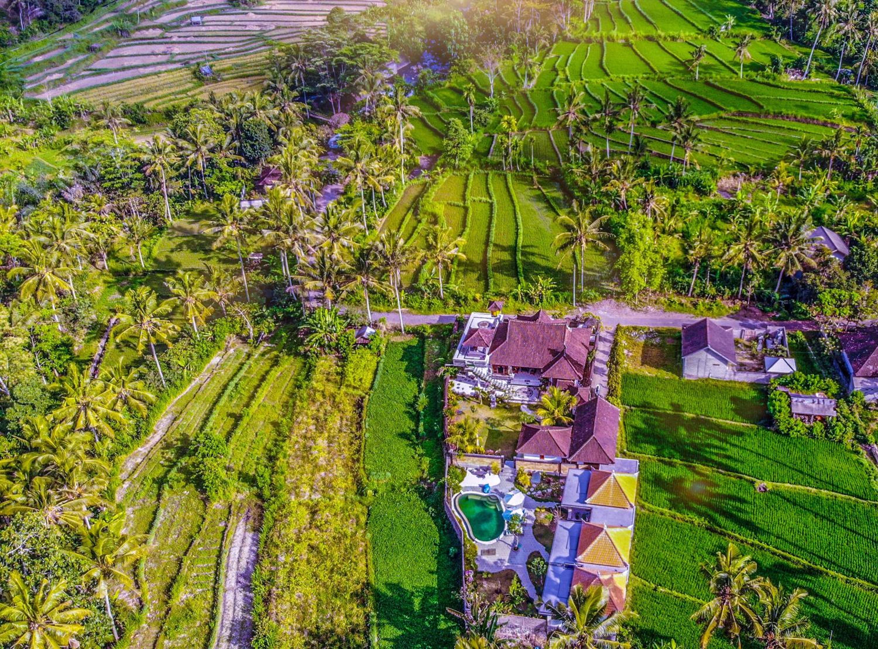 Dana Bali Ricefield Villa view 3