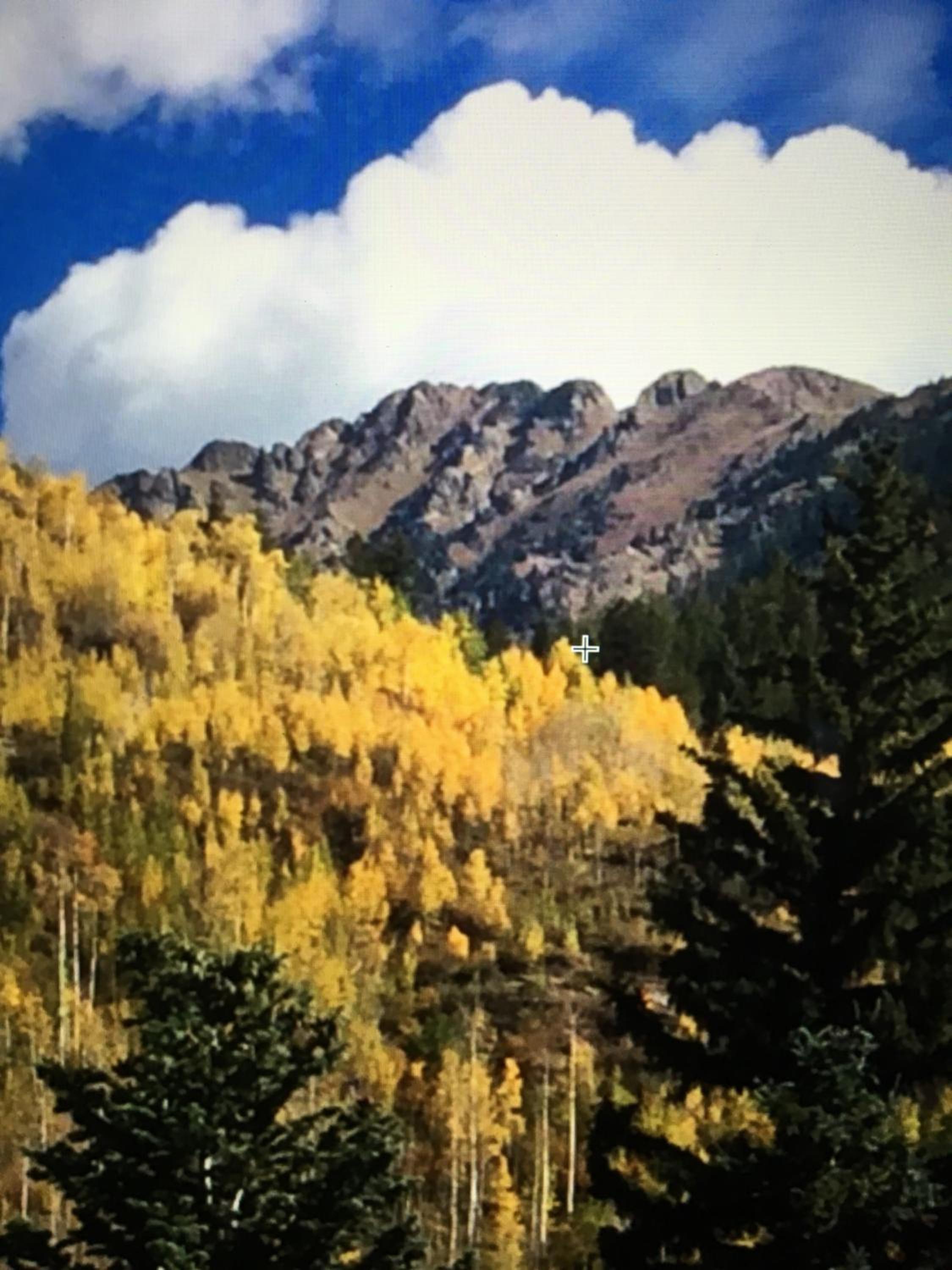 Amazing Highcliffe Lodge Vail