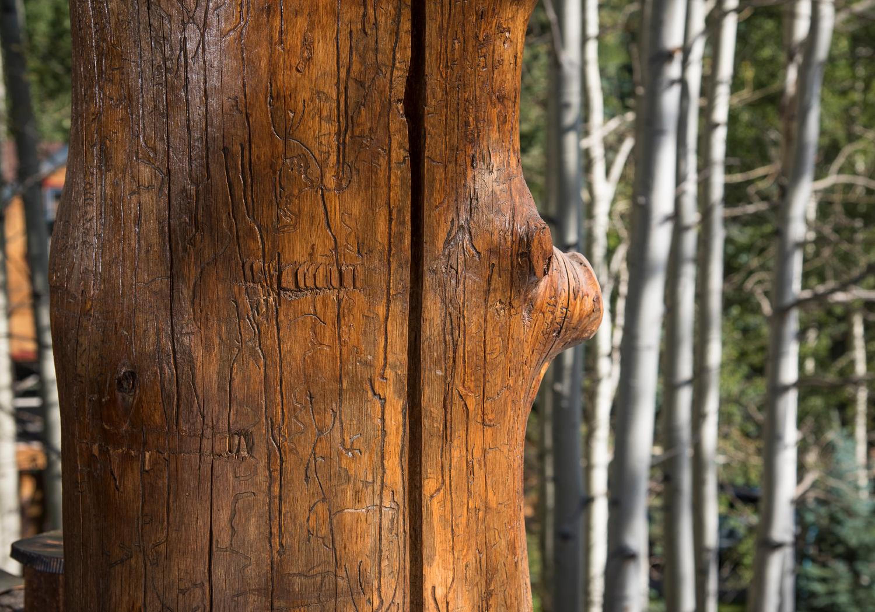 Amazing Highcliffe Lodge Vail