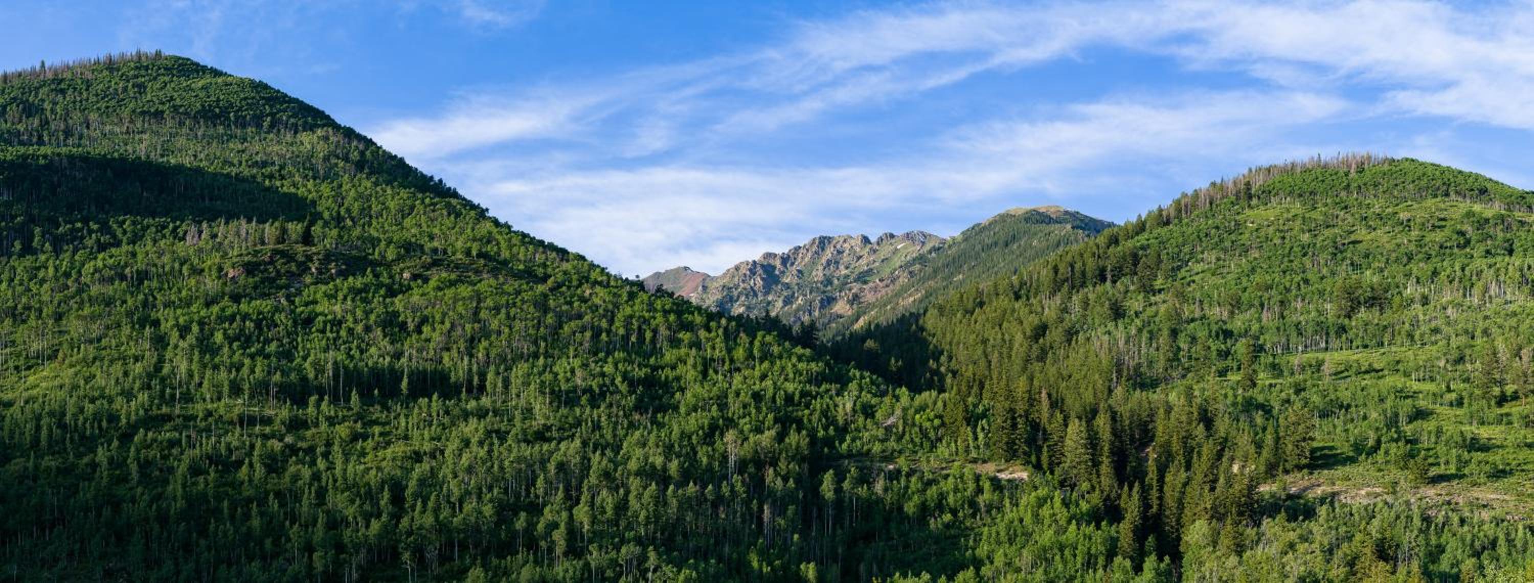 Amazing Highcliffe Lodge Vail
