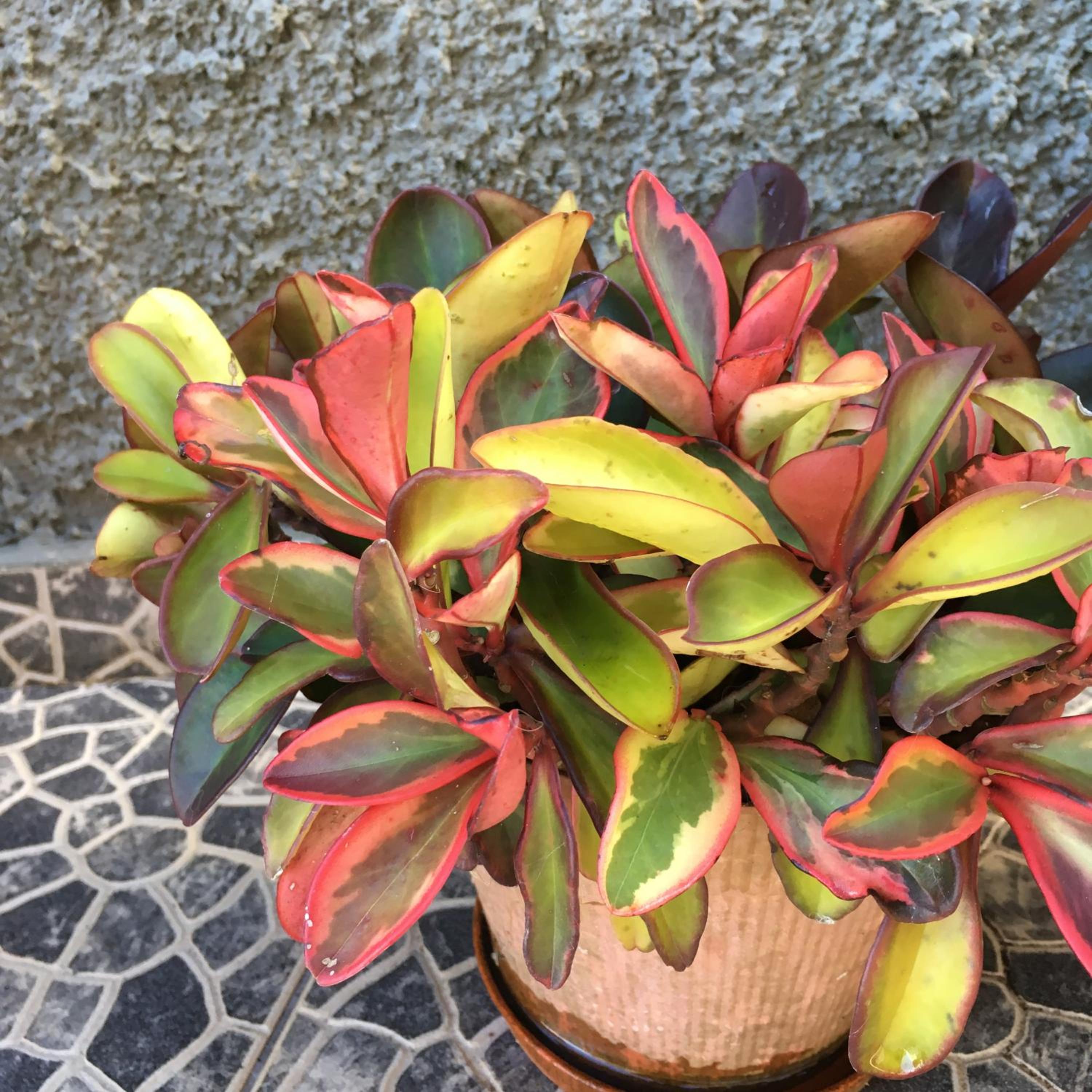 Photo 22
