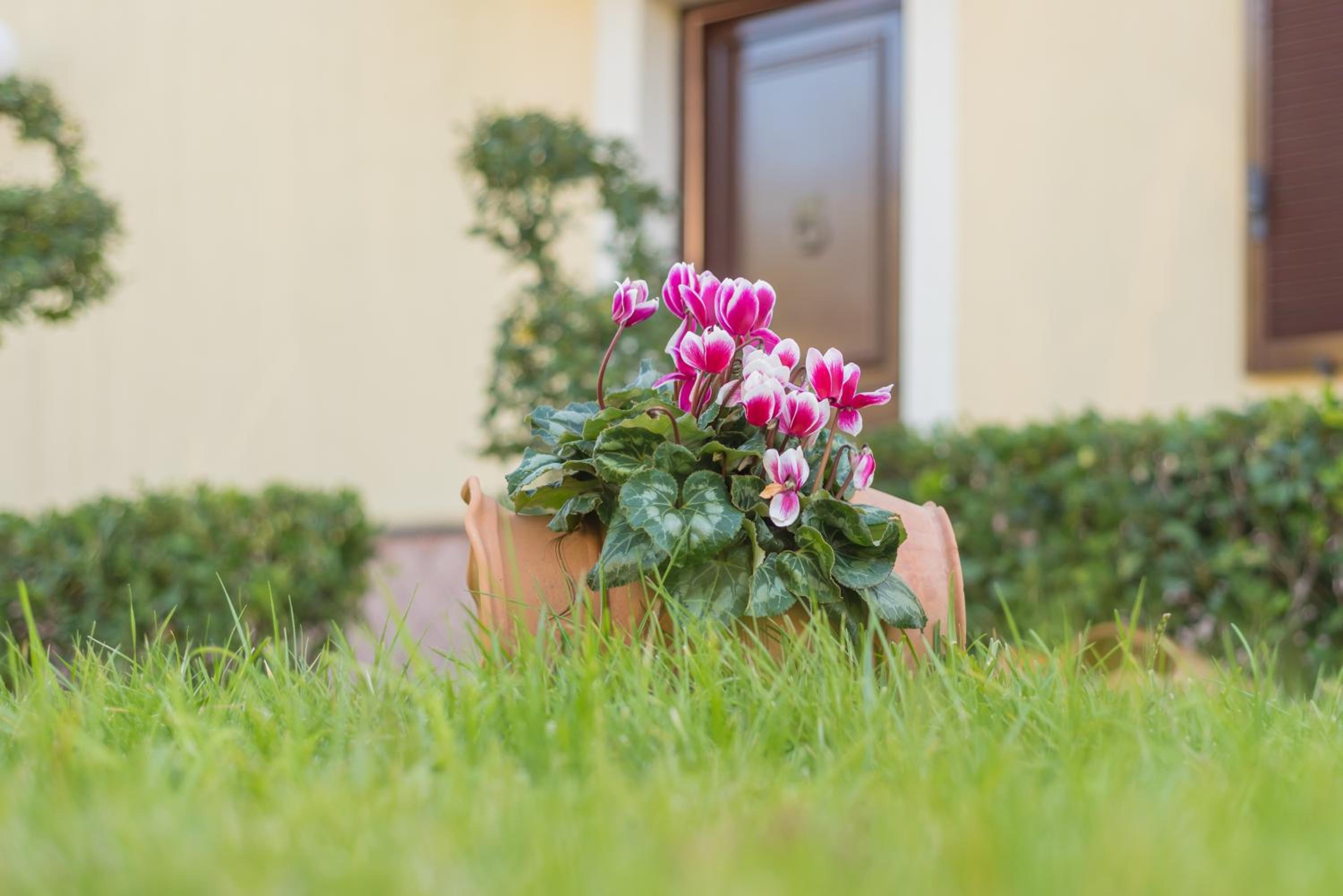 B&B BOUTIQUE DI CHARME 