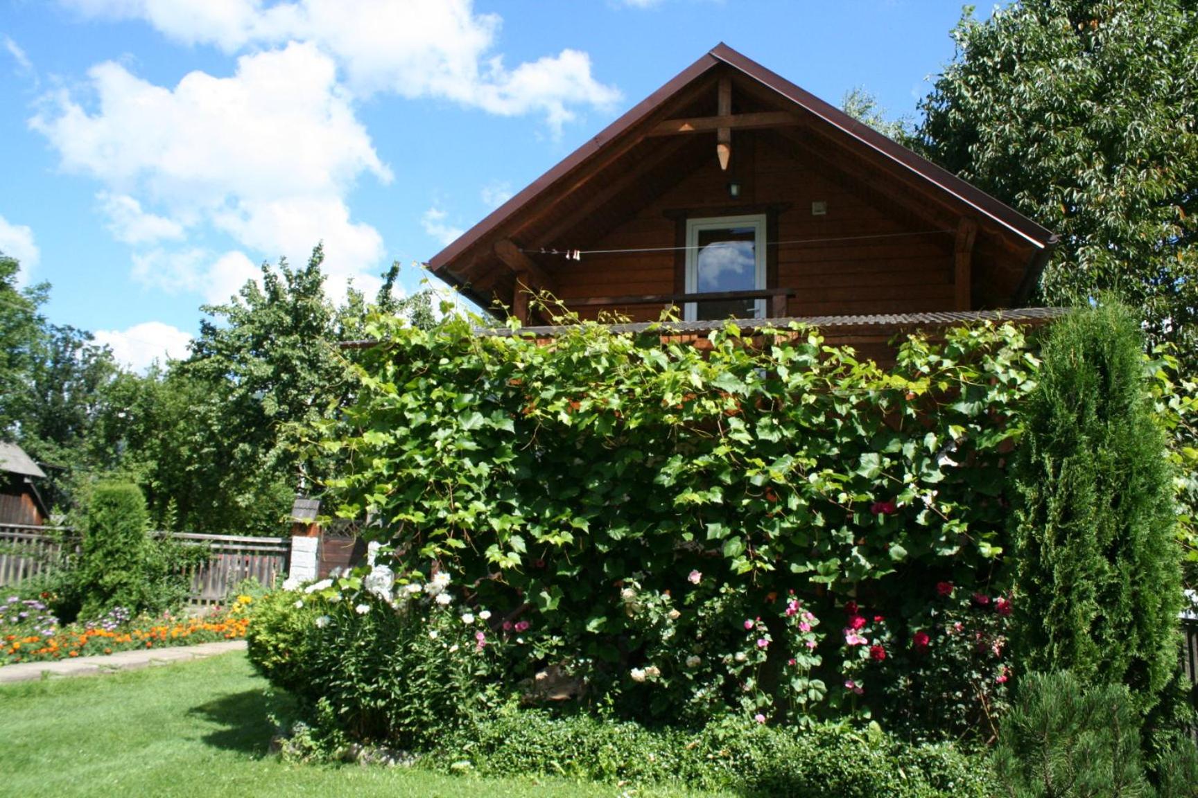Photo 42