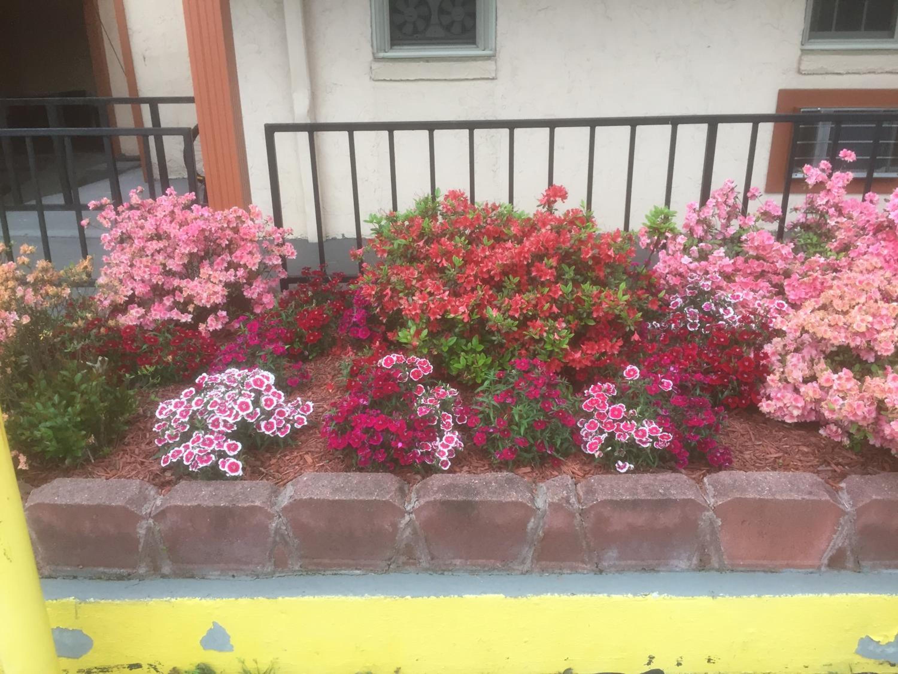 Photo 14