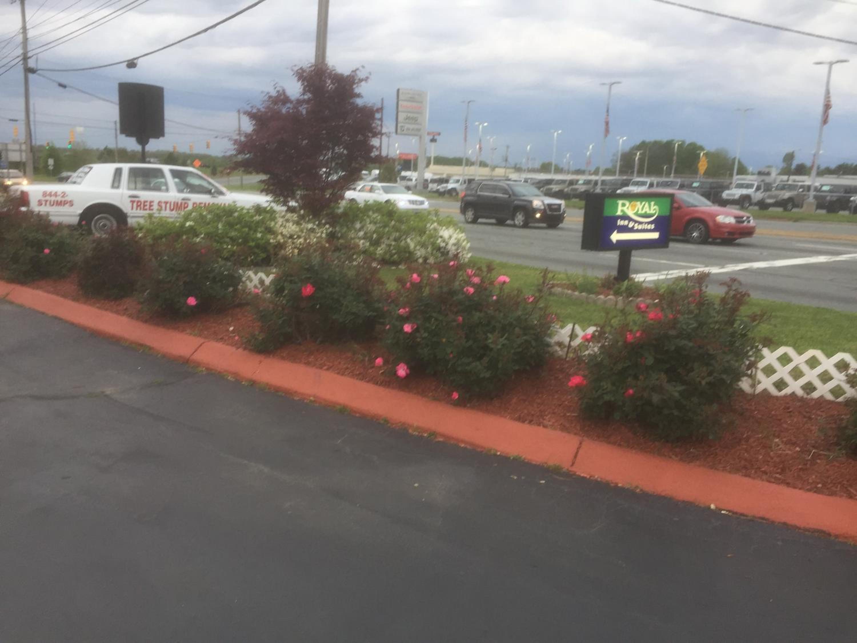 Photo 16