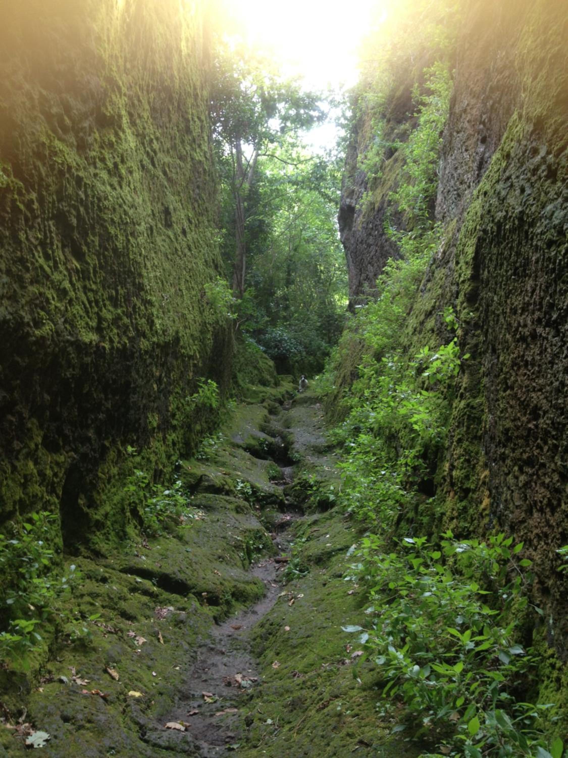 Photo 49