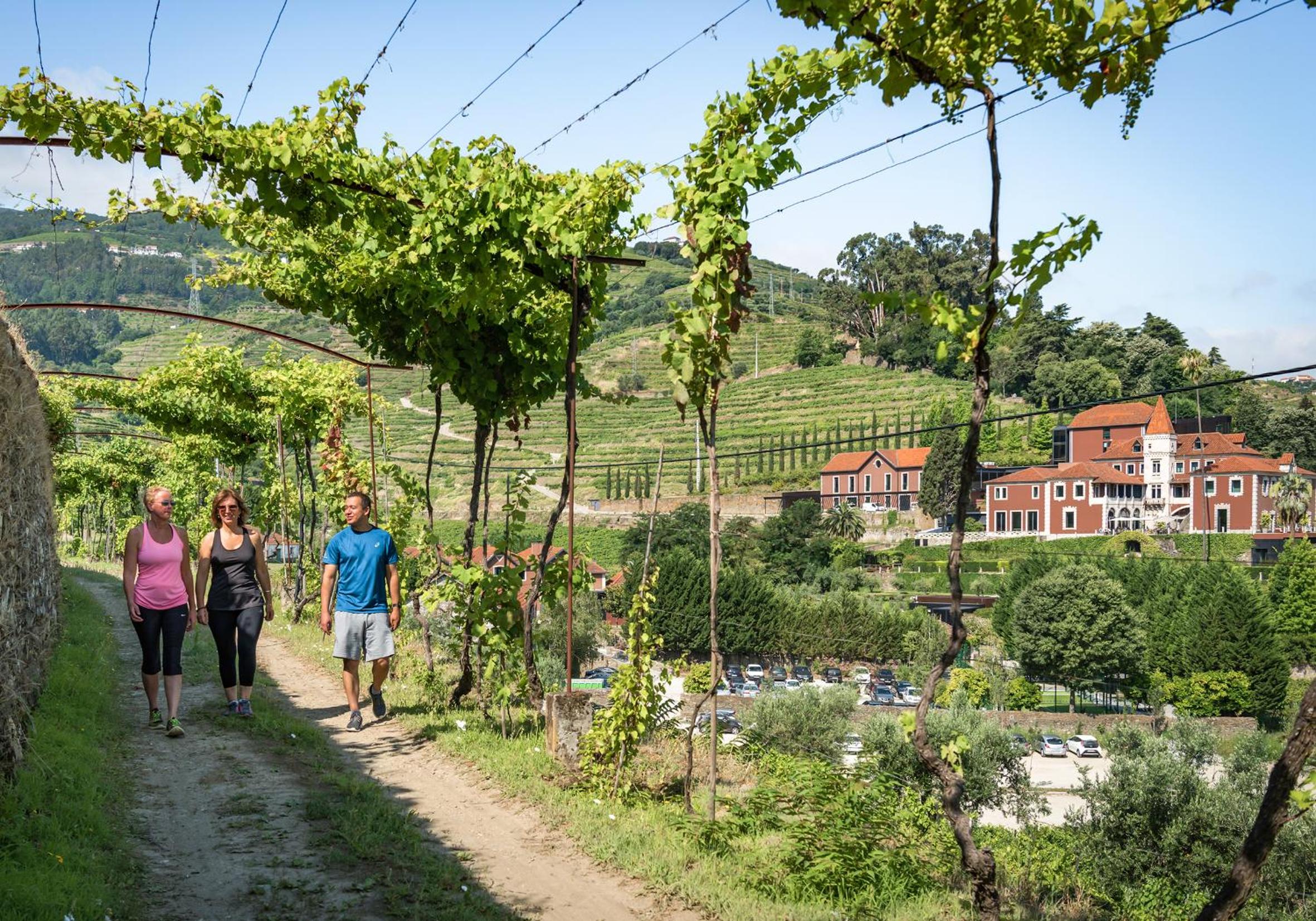 Six Senses Douro Valley 72