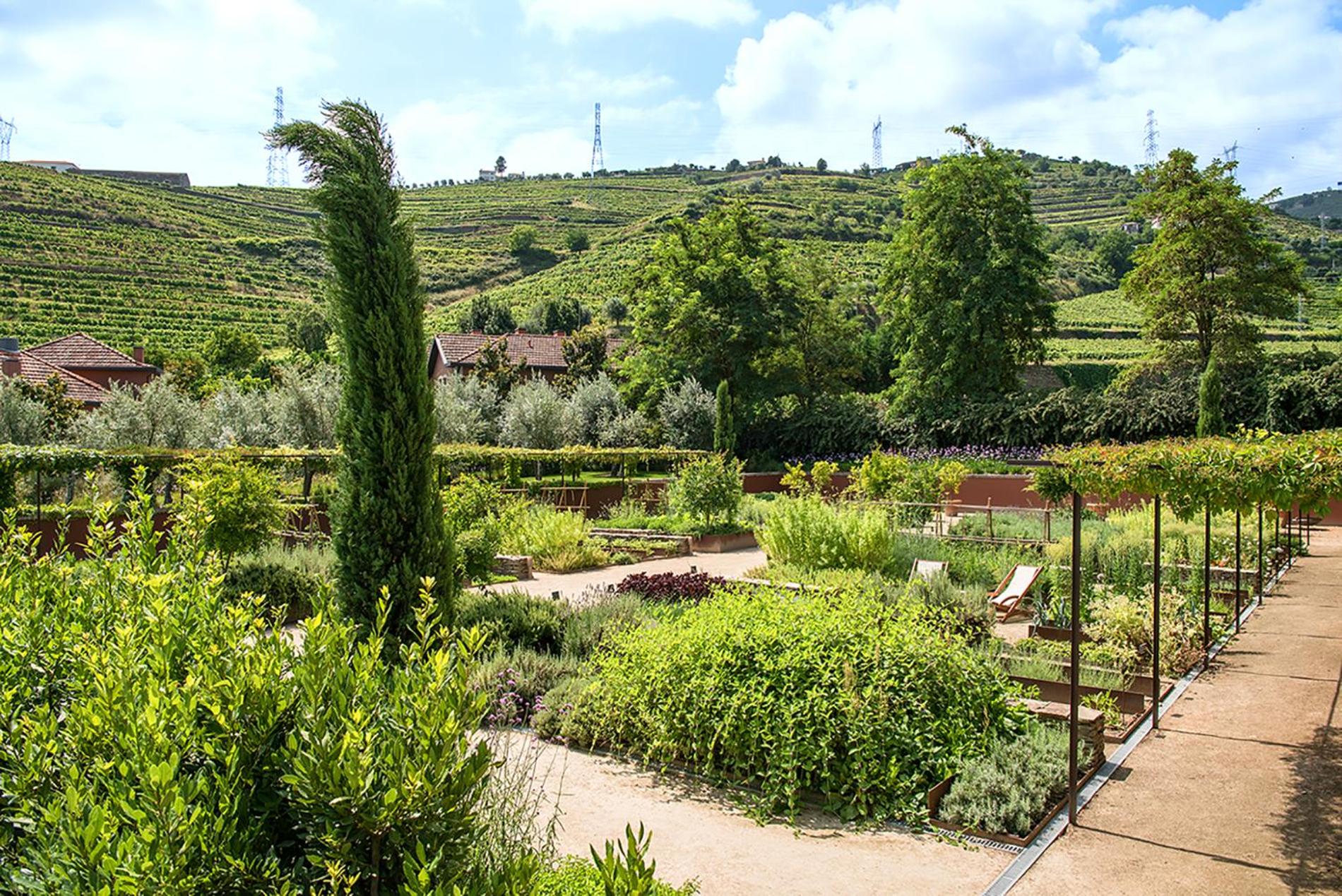Six Senses Douro Valley 68