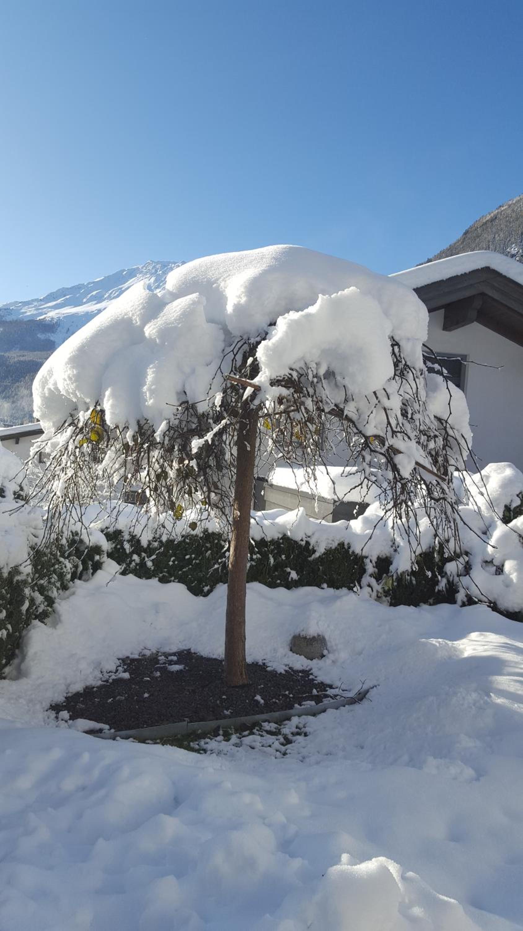 Alpenappartement Sonne view 2