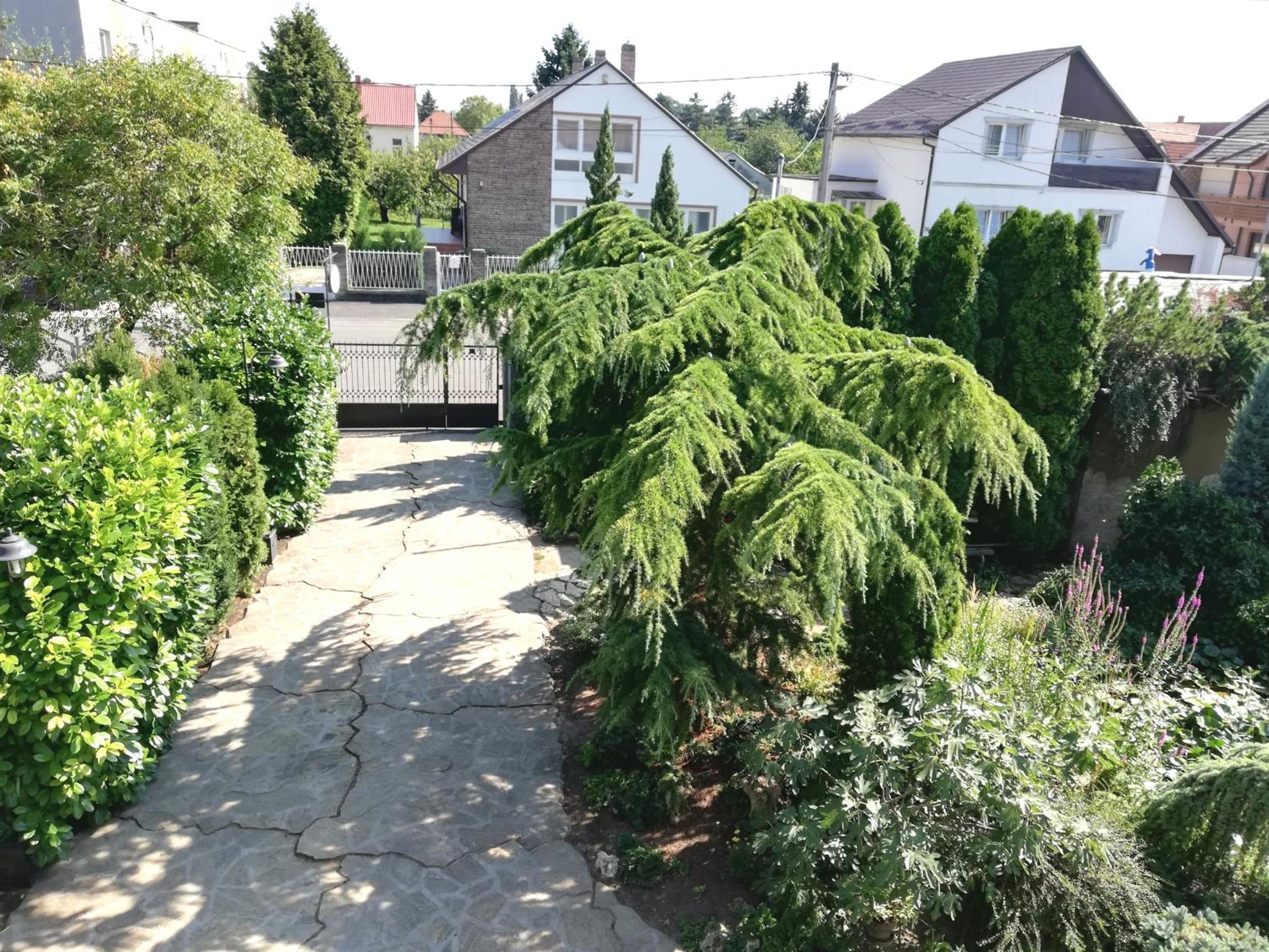 Édenkert Apartman