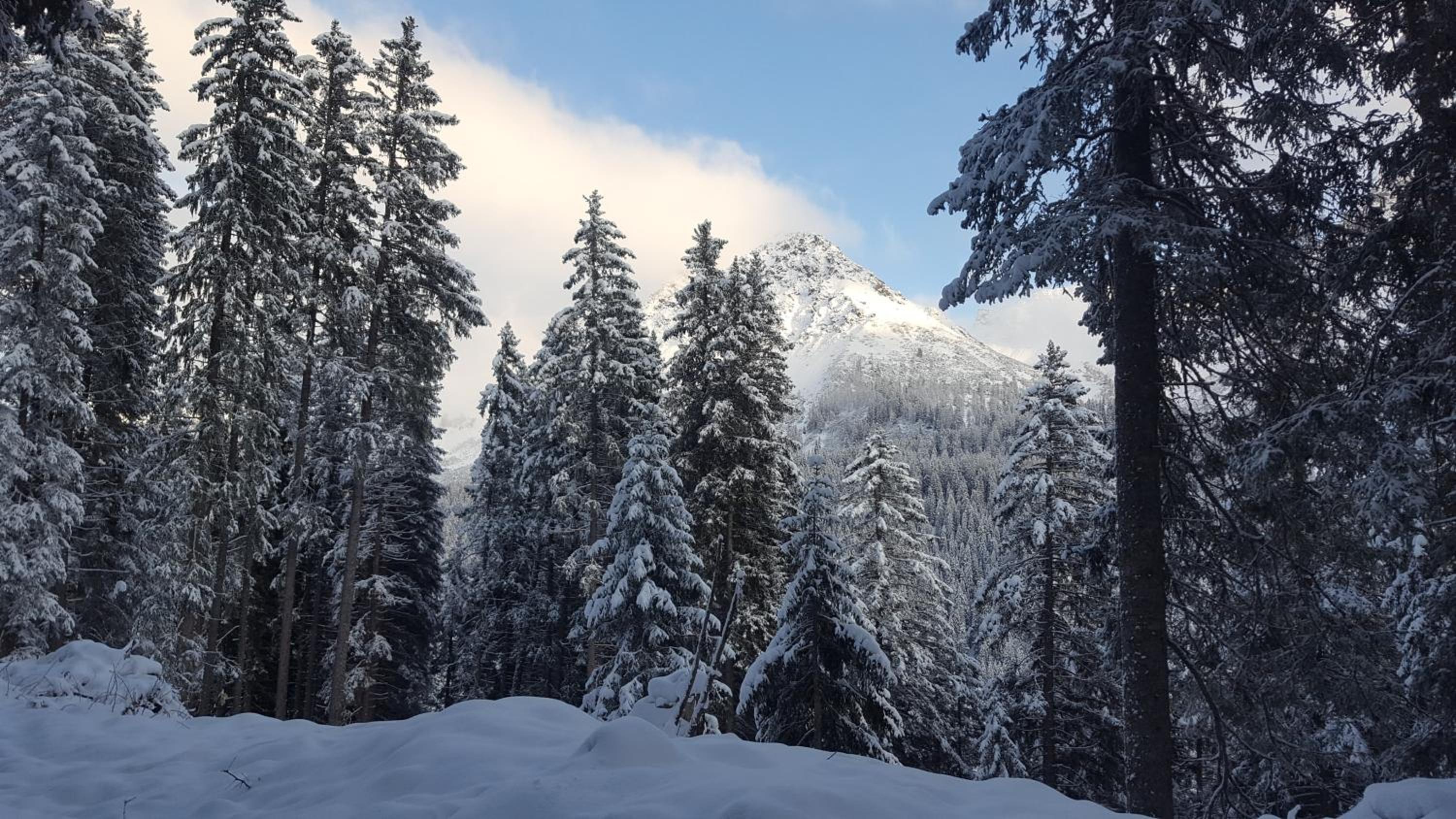Photo 37