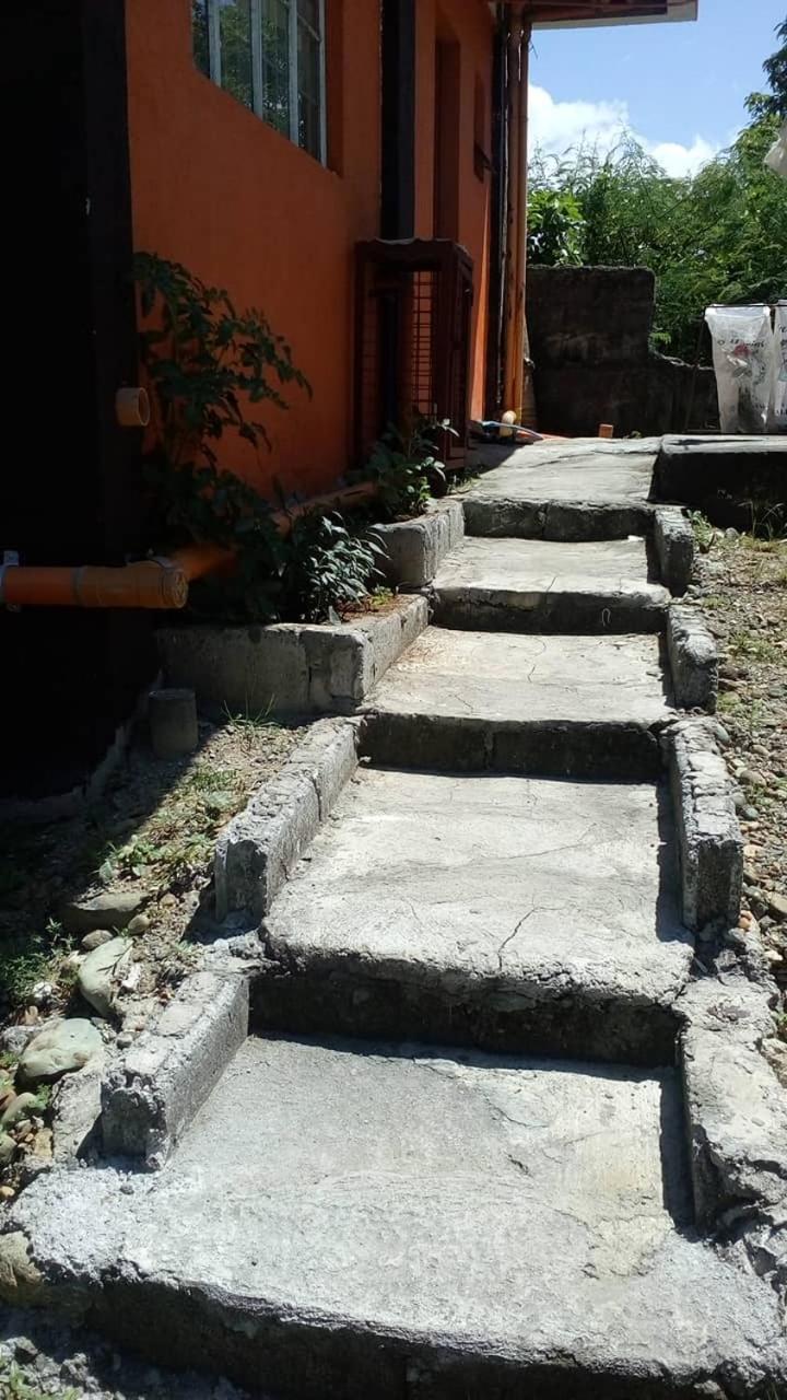 Photo 31