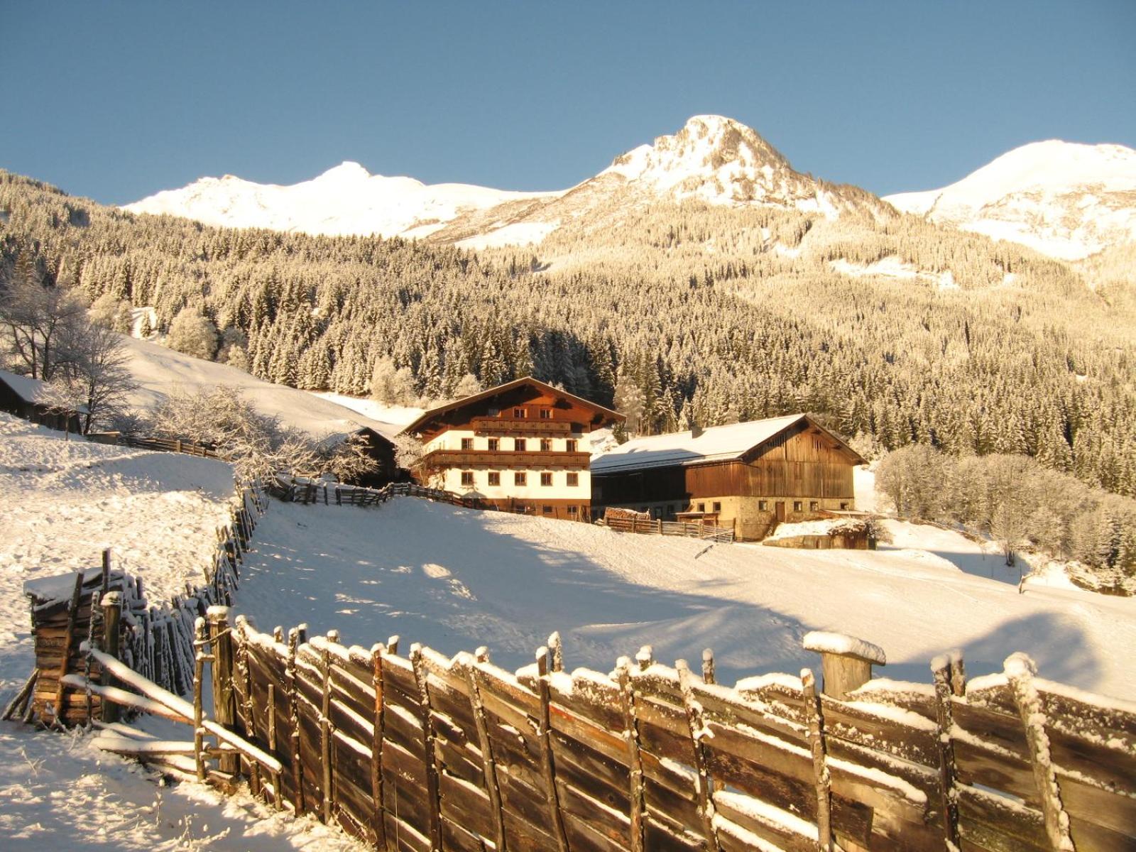Biohof Maurachgut