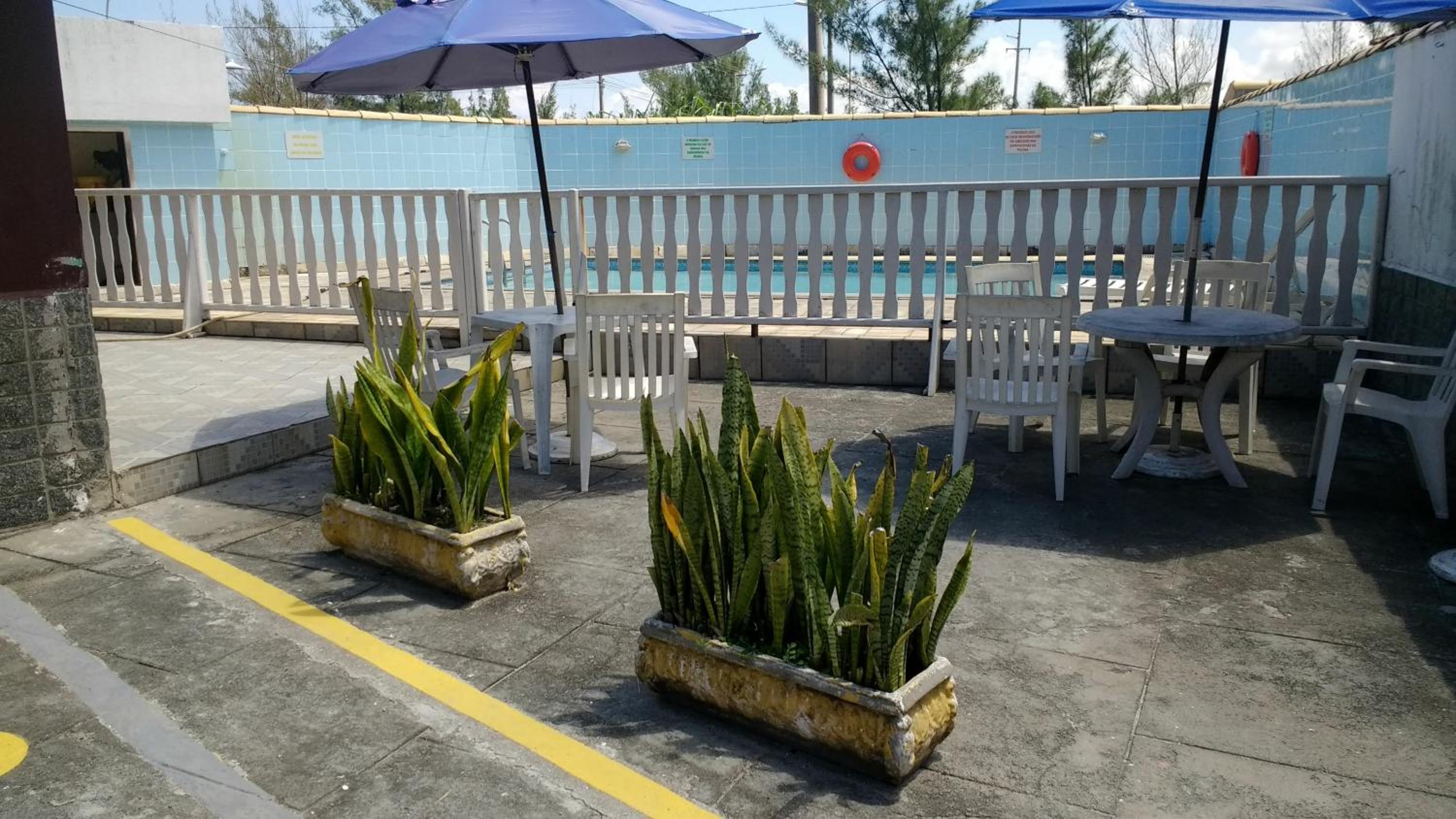 Casa verde