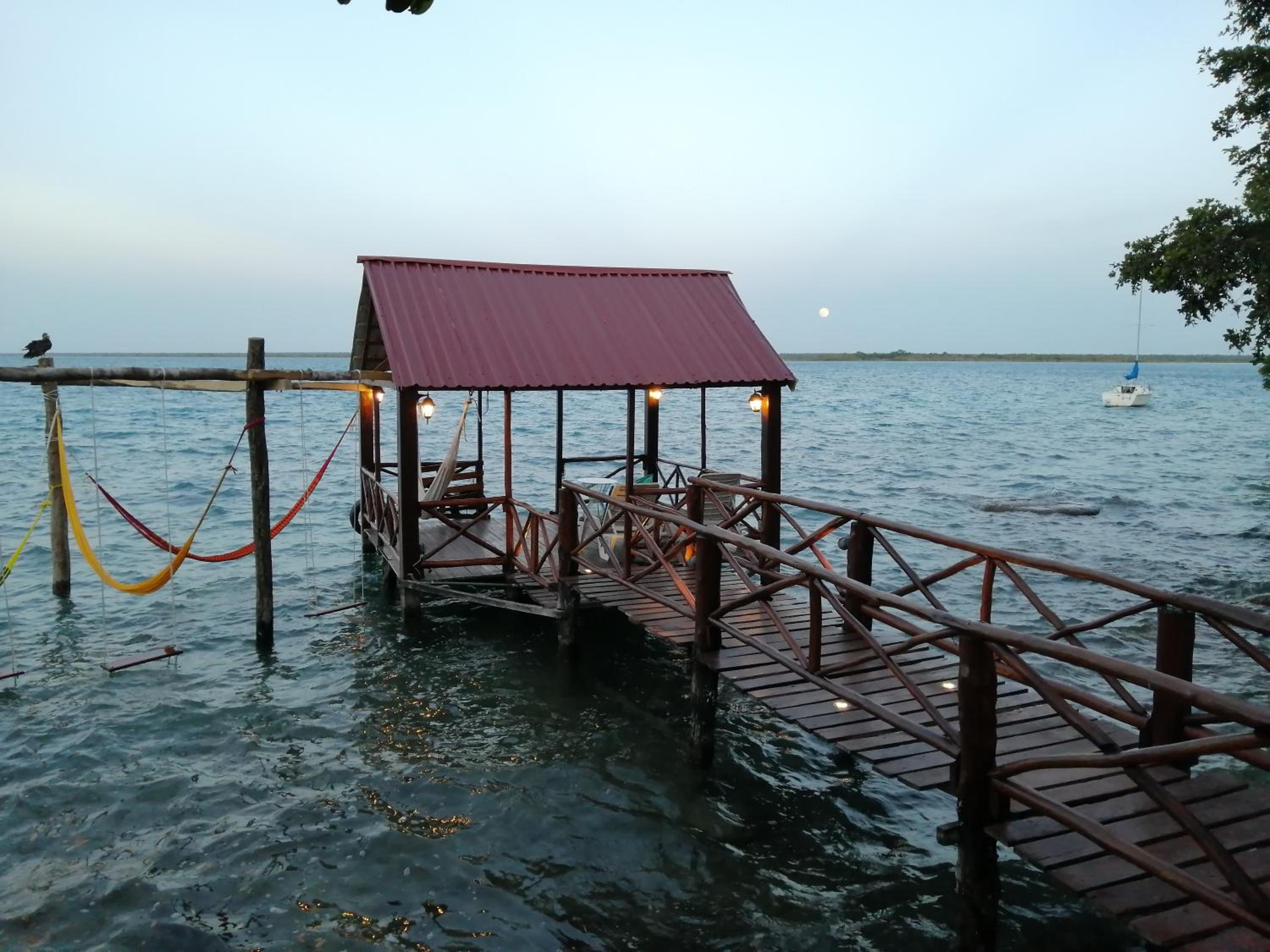 Photo 46