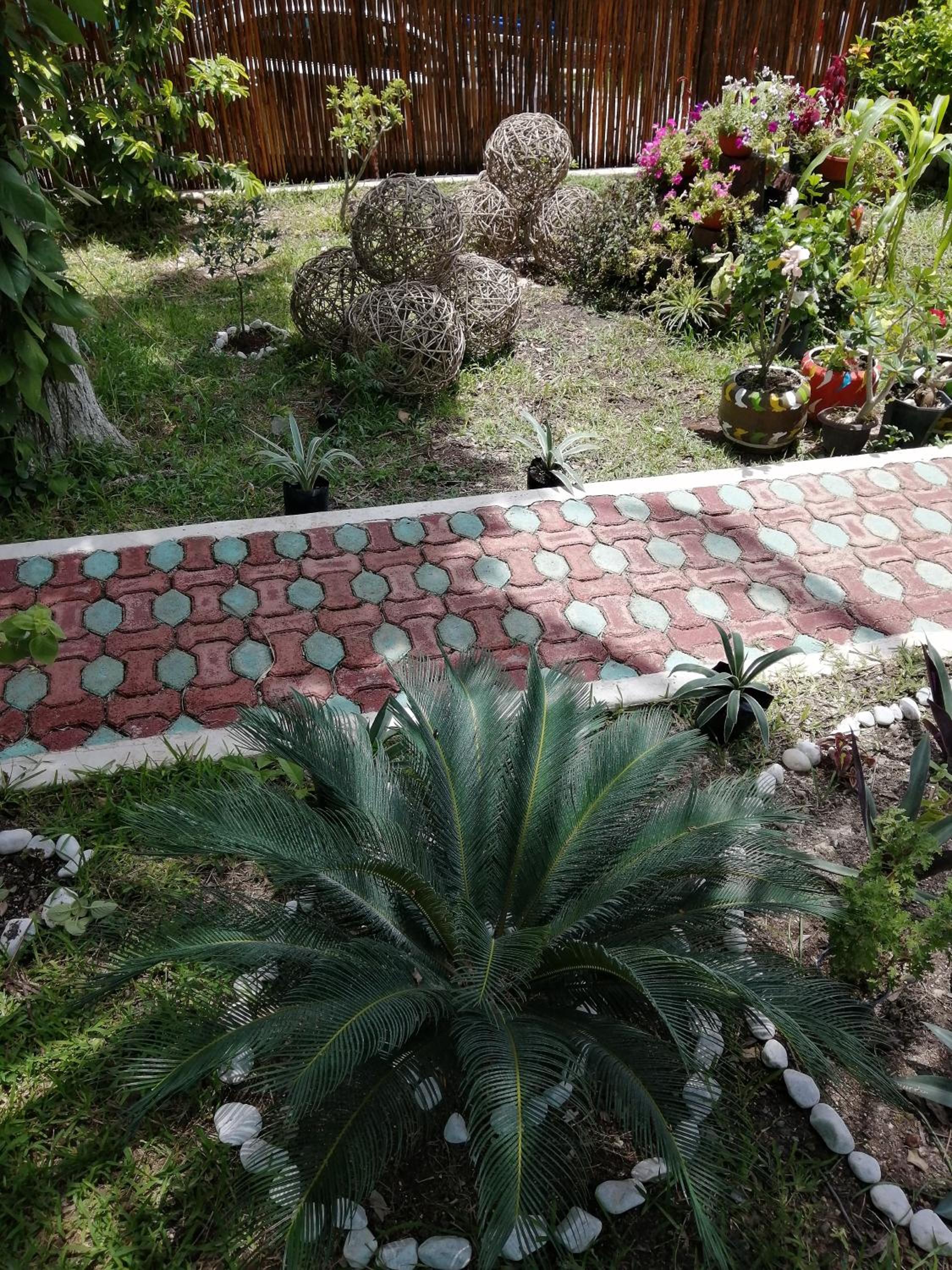 Photo 44