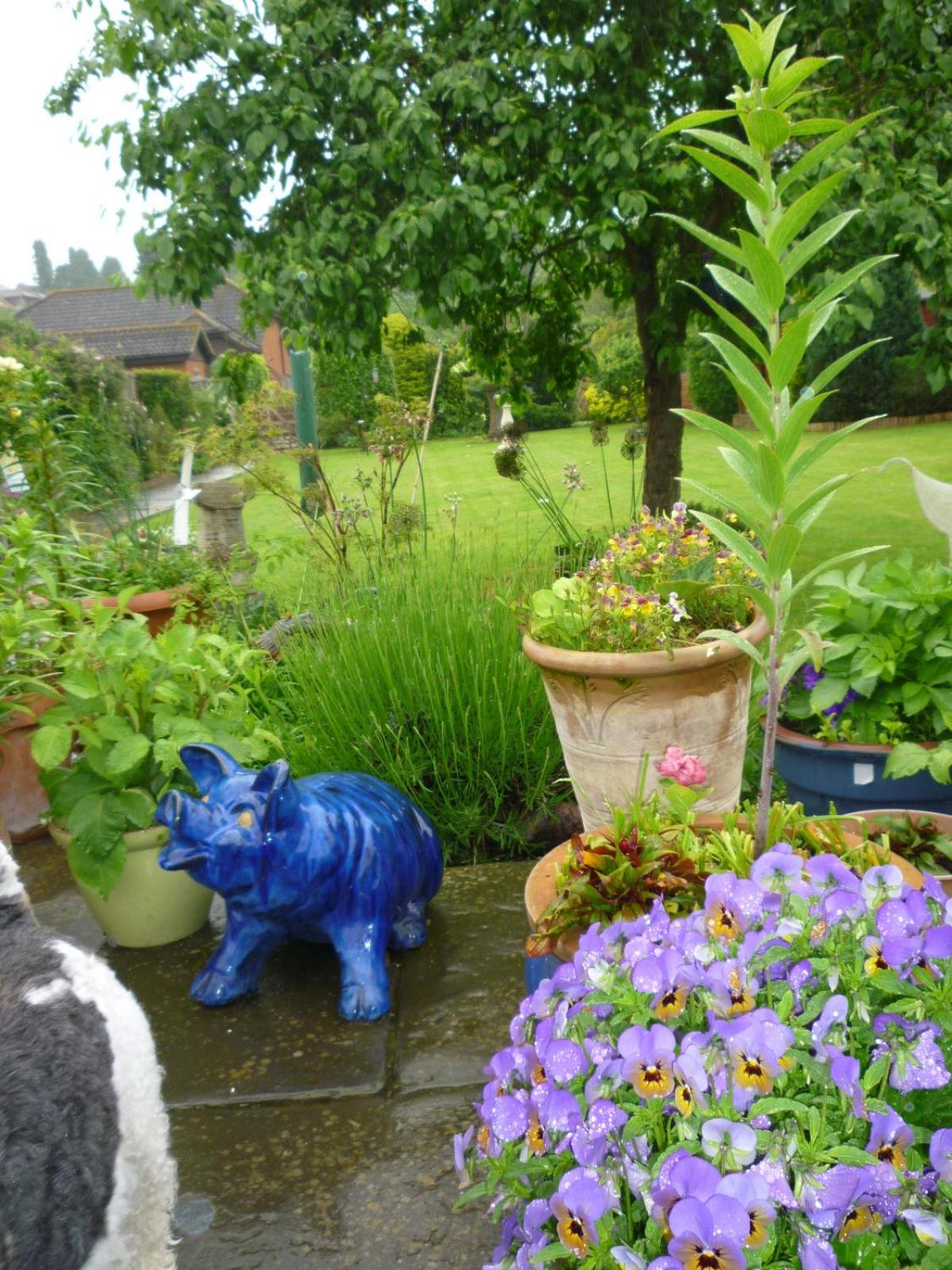 Hopewell self-catering