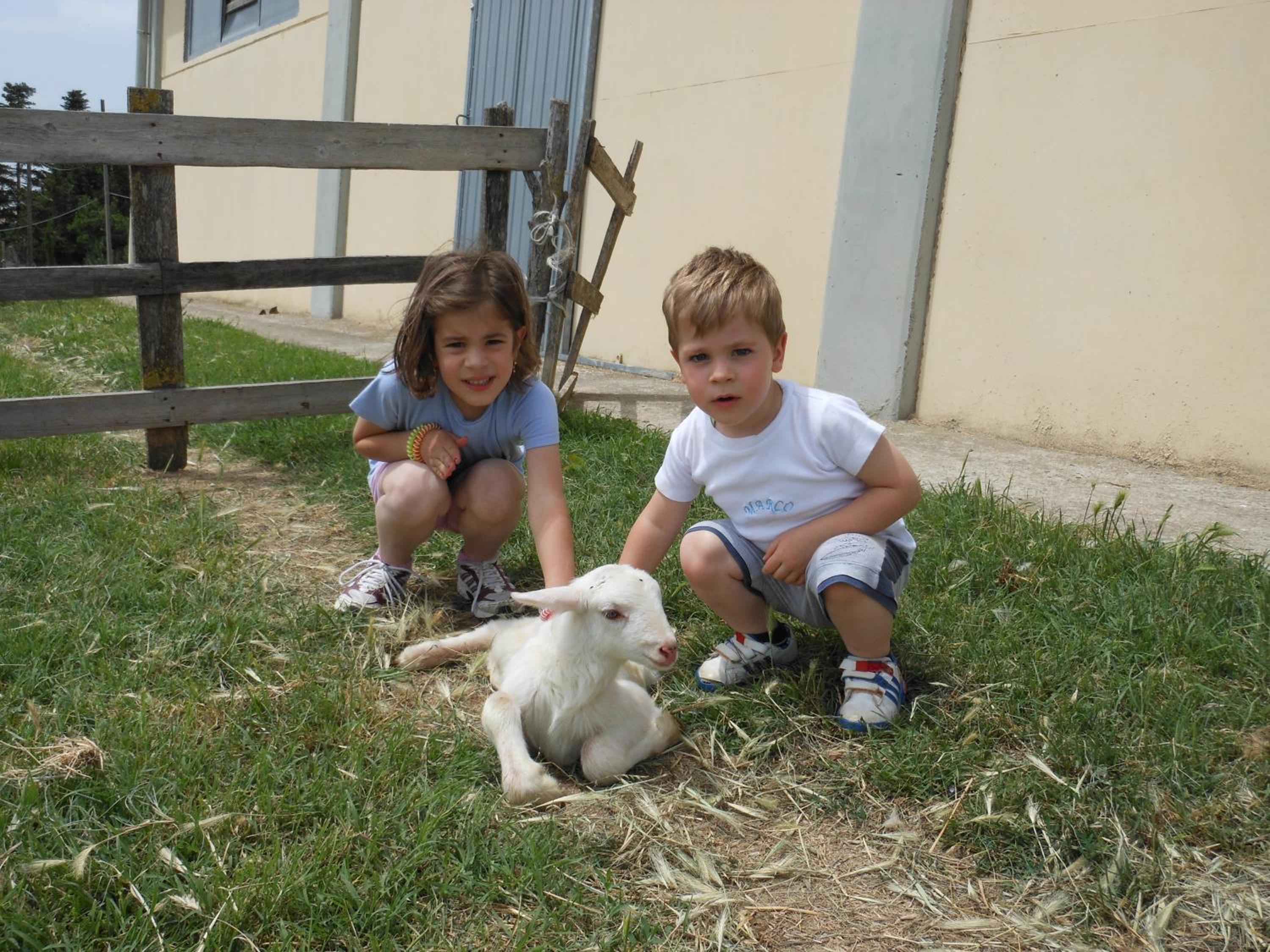 Agriturismo Collomici
