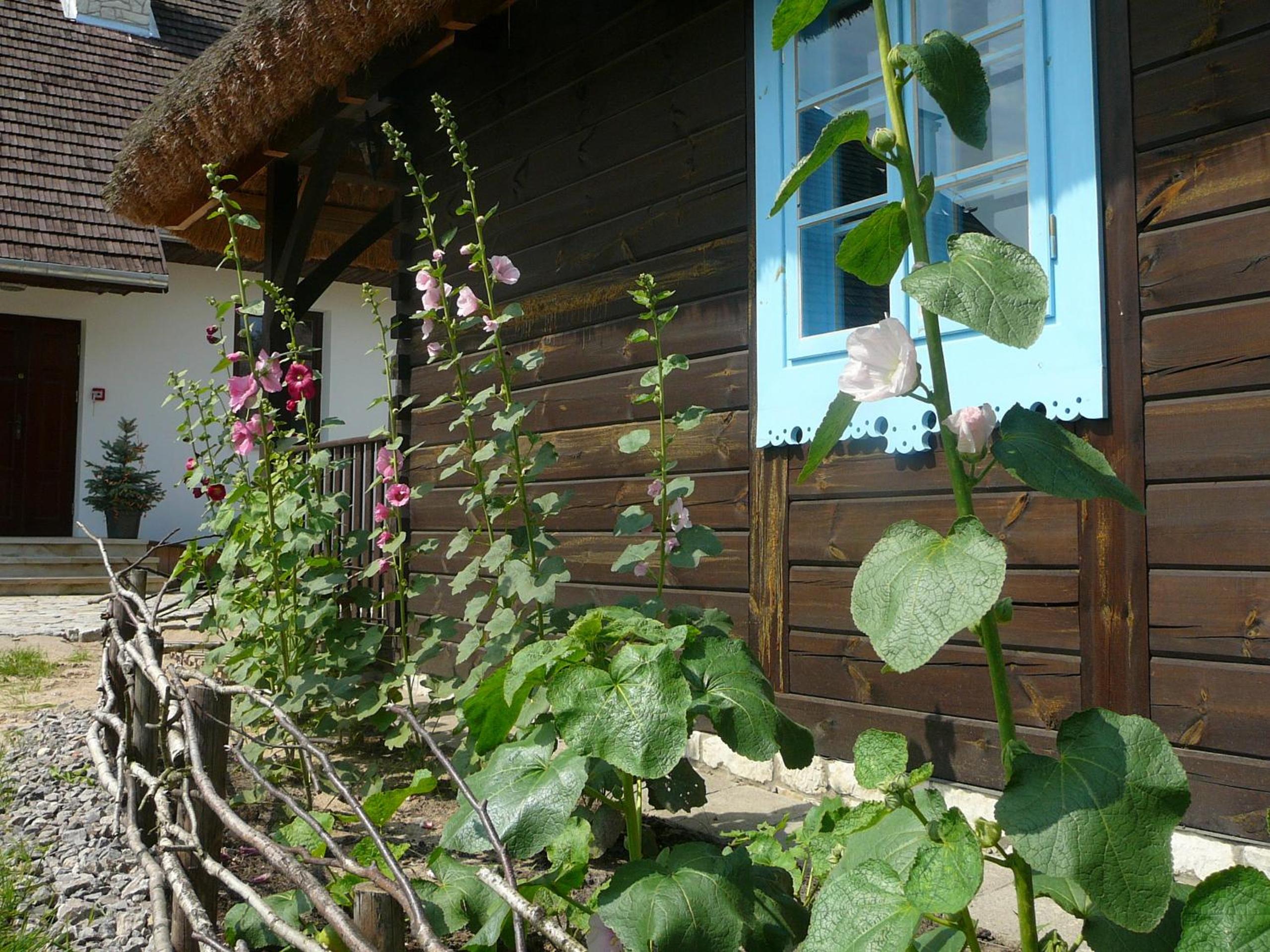 Photo 51