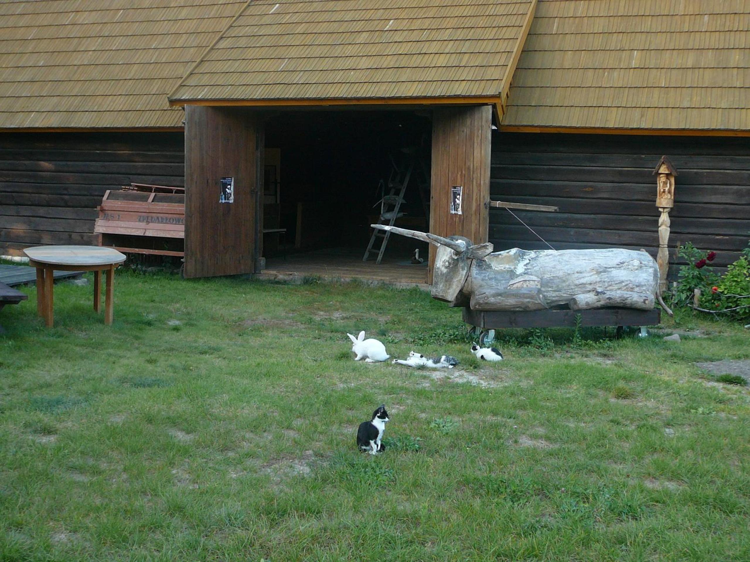 Photo 45