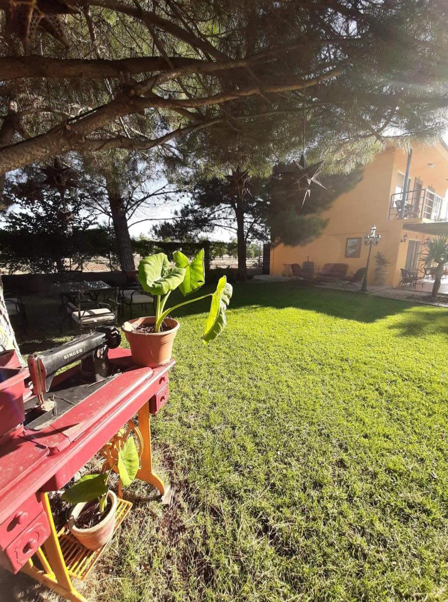 Photo 25
