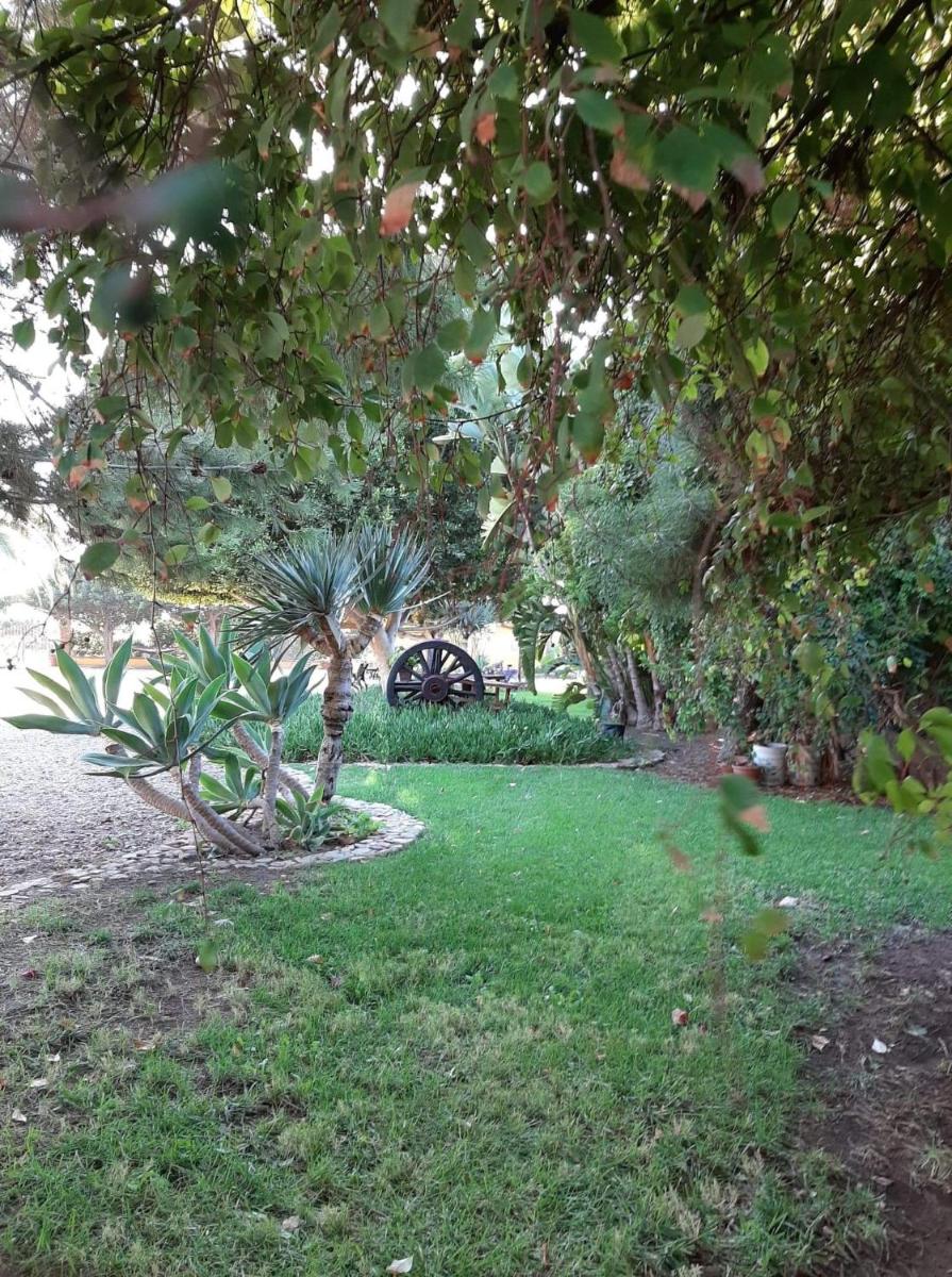 Photo 21