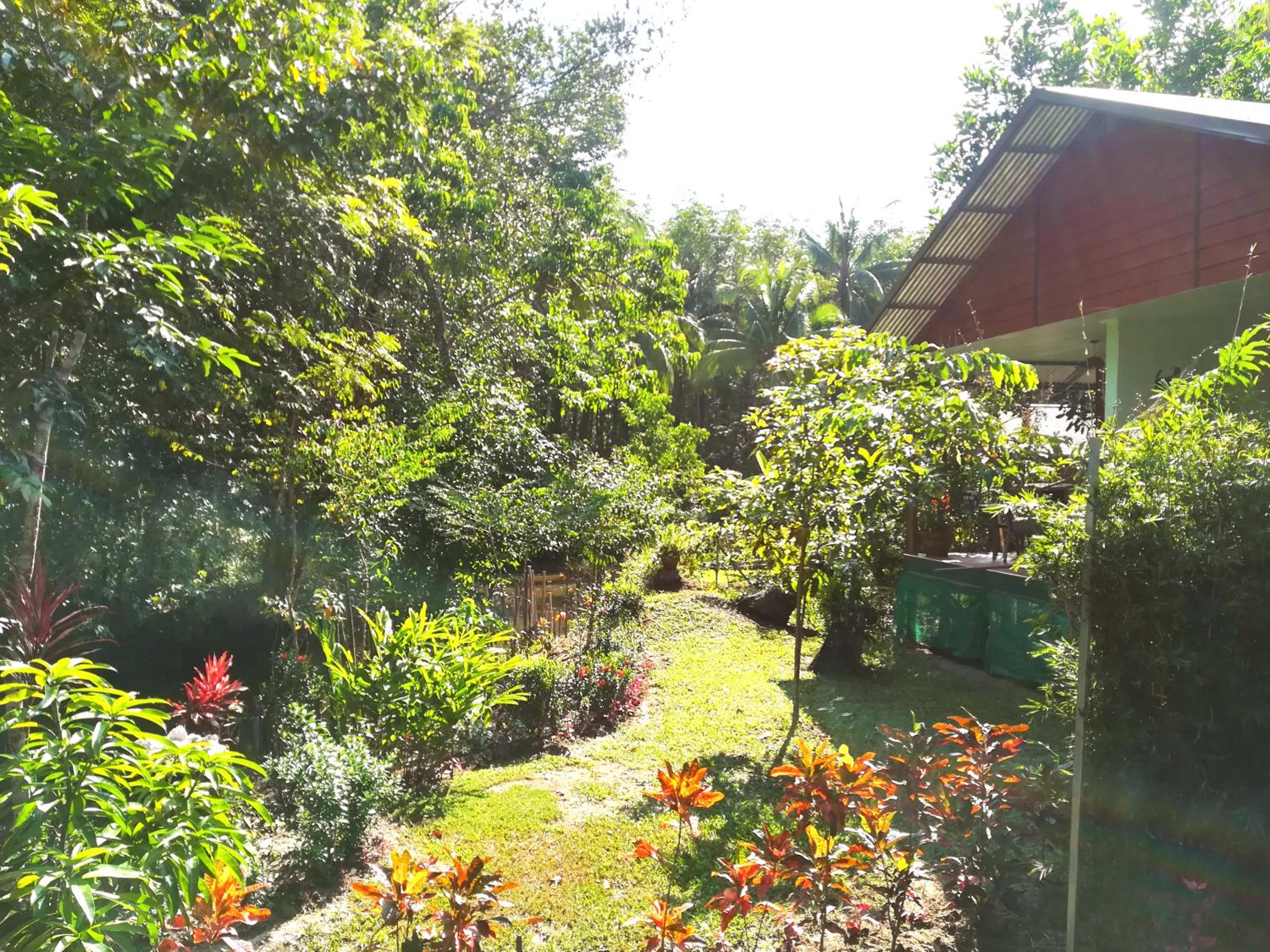 Pink Kangaroo Bungalows view 4