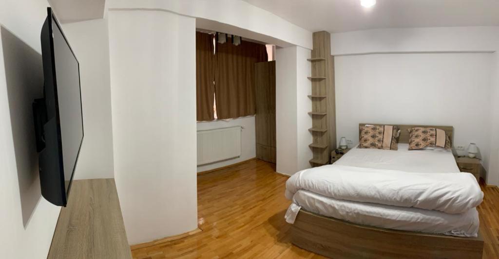 Amedeea Accomodation en Timişoara — hotel room