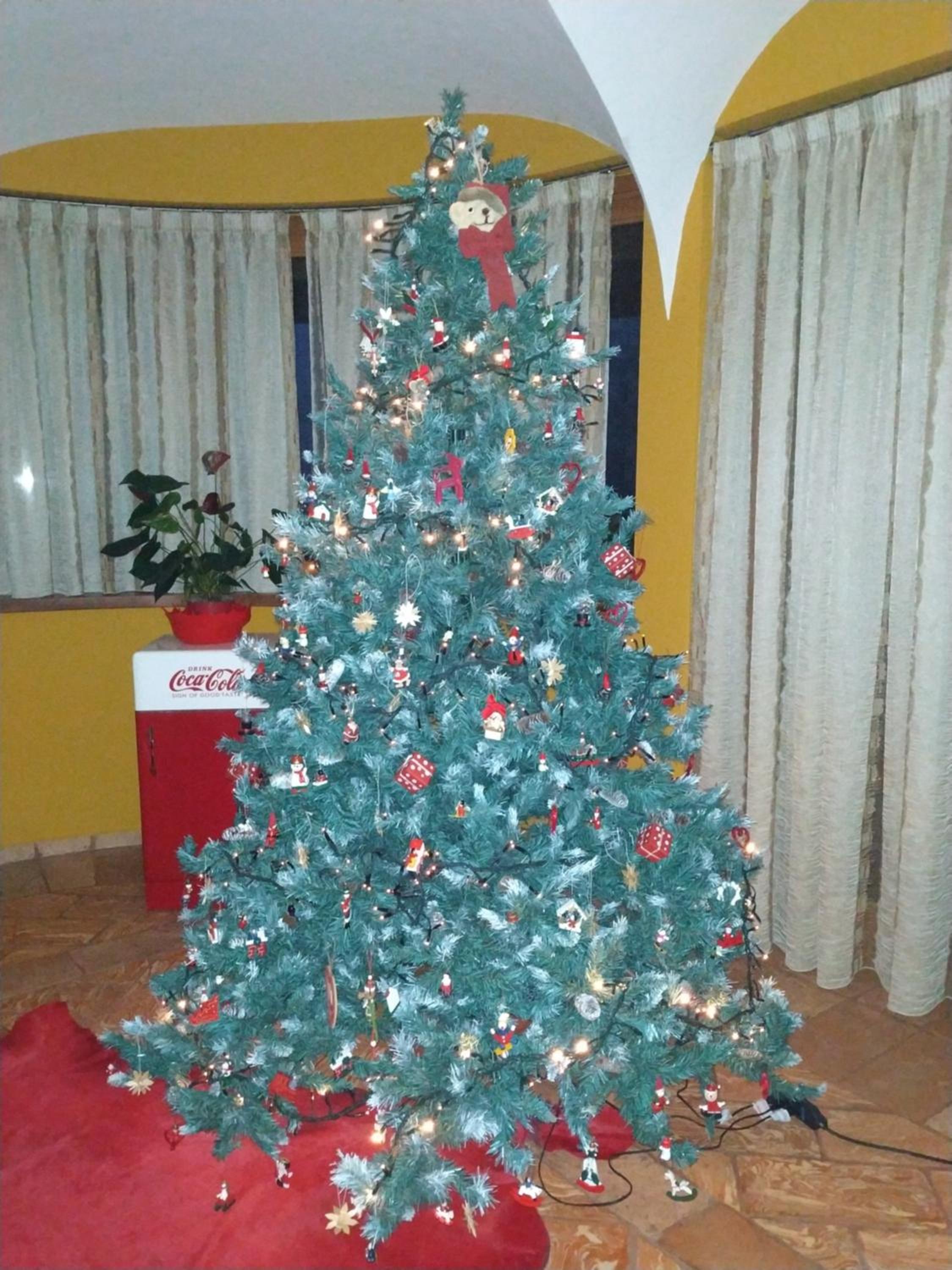 Photo 51
