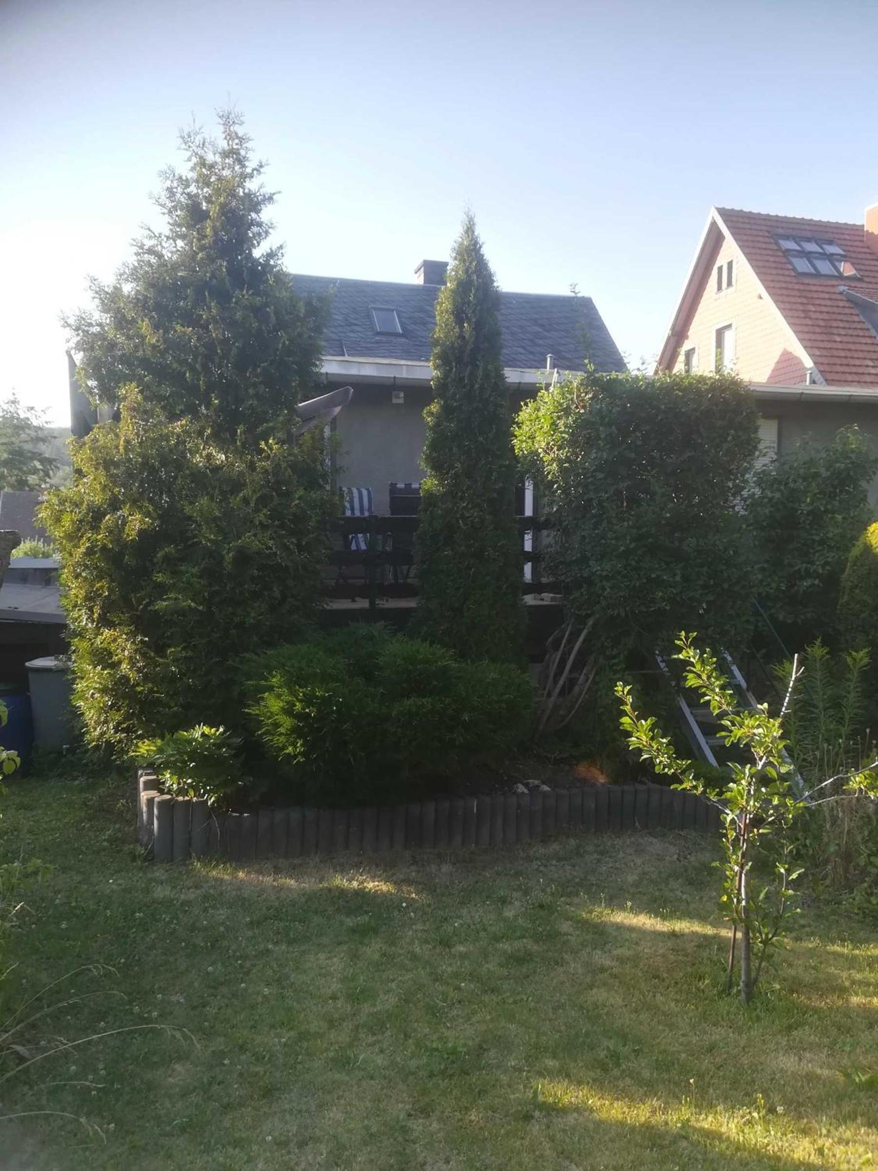 Ferienwohnung Harz Moni Werner - Property Image 4