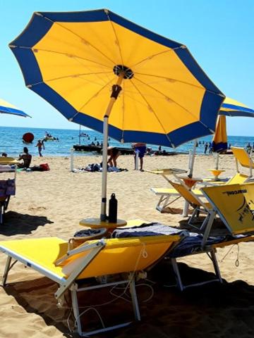 Hotel Nizza Frontemare Superior 3 Stelle photo 2
