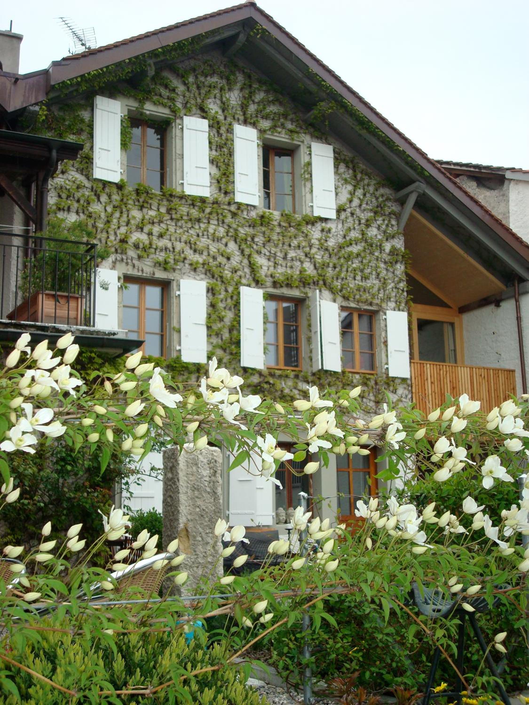 Wonderlandscape Guest House