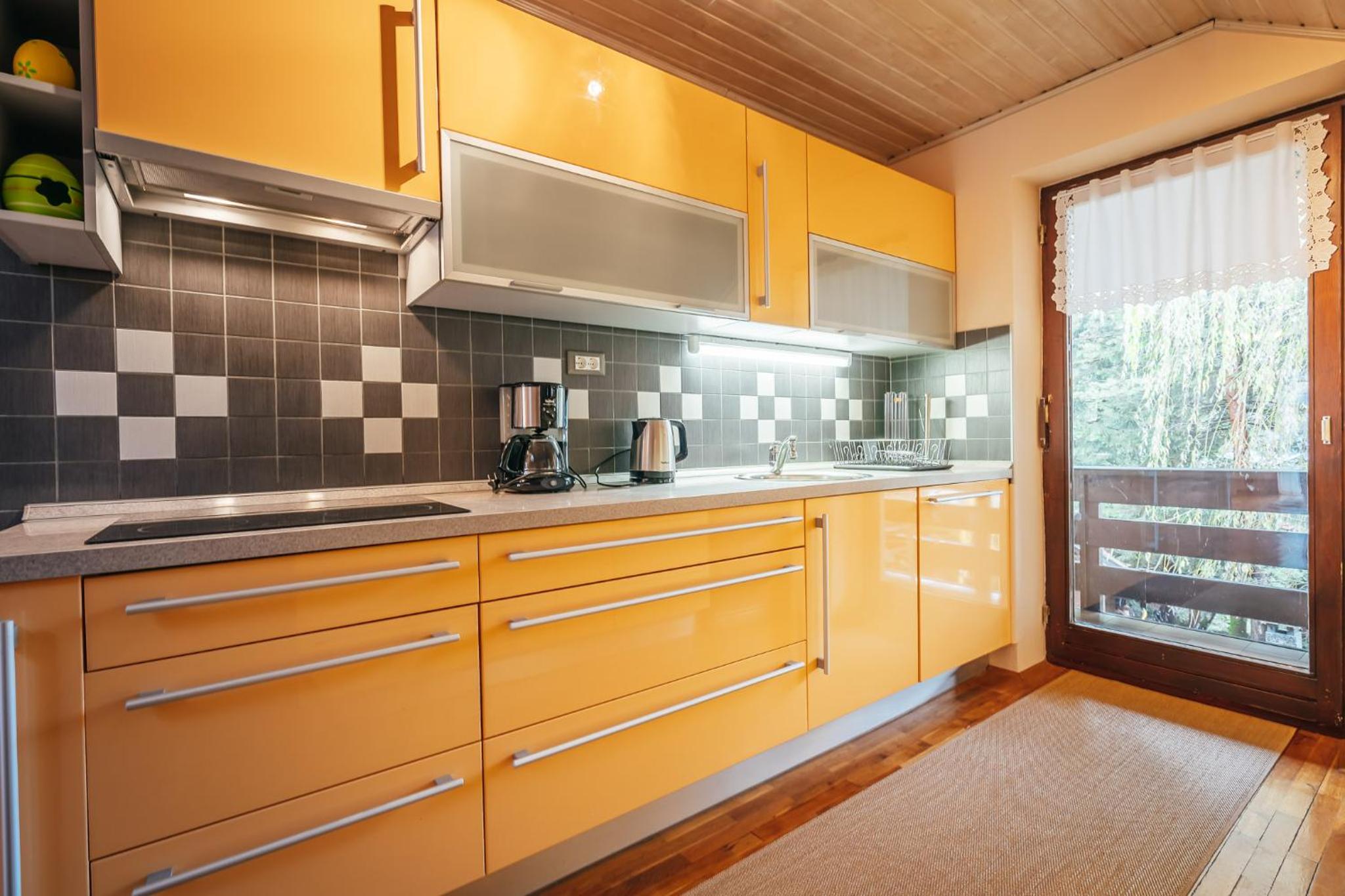 Apartma BOROVC view 4