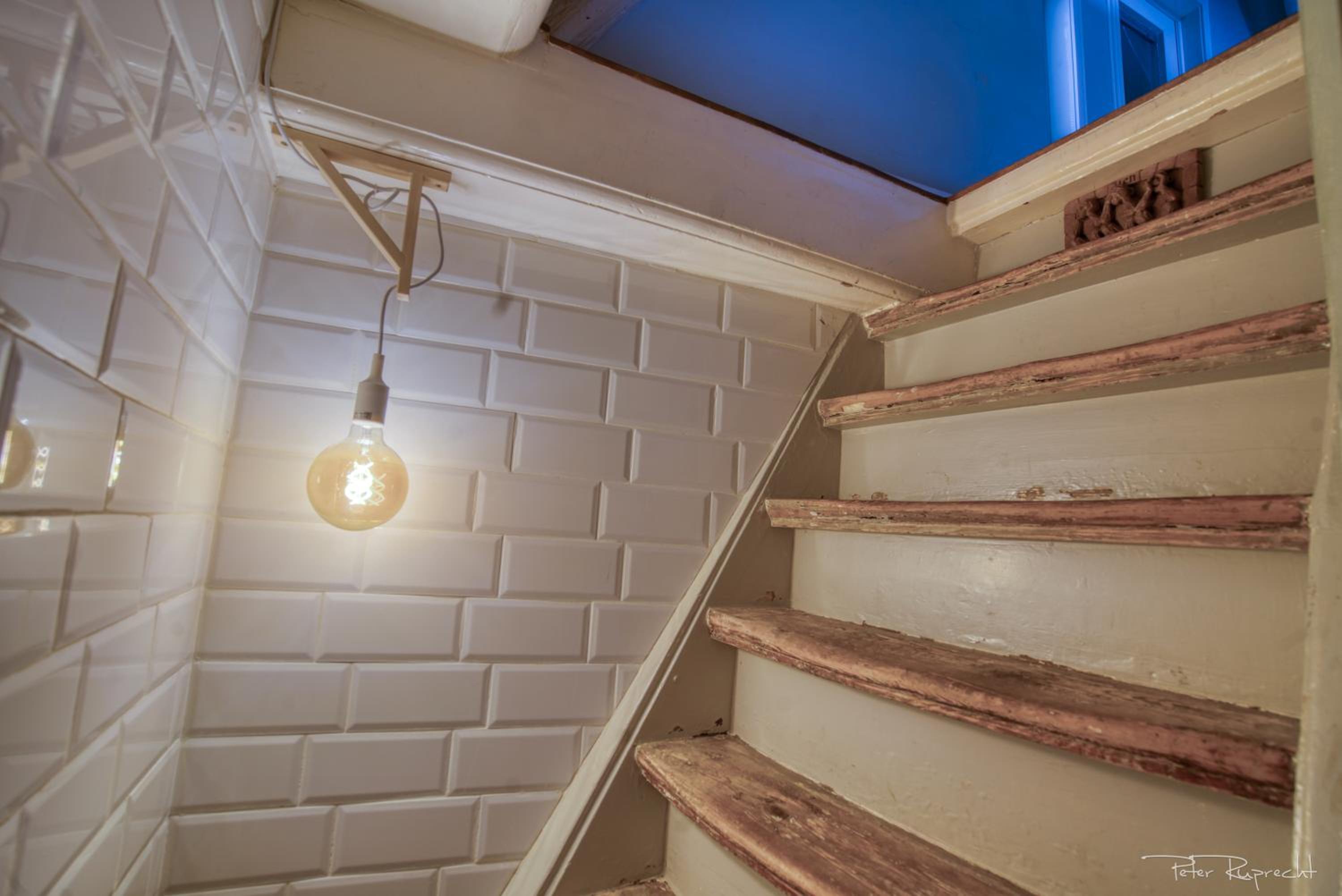 Attic Monkeys Lodge